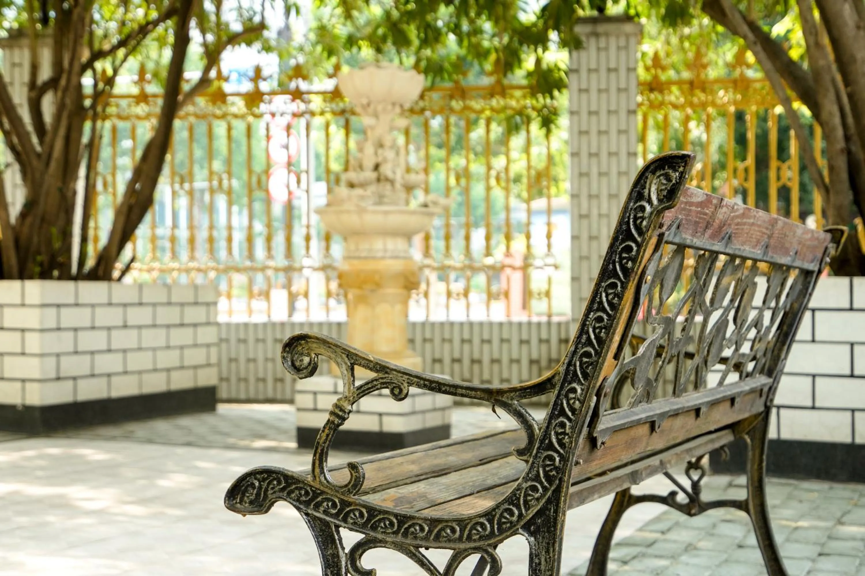 Garden in Magnificent International Hotel