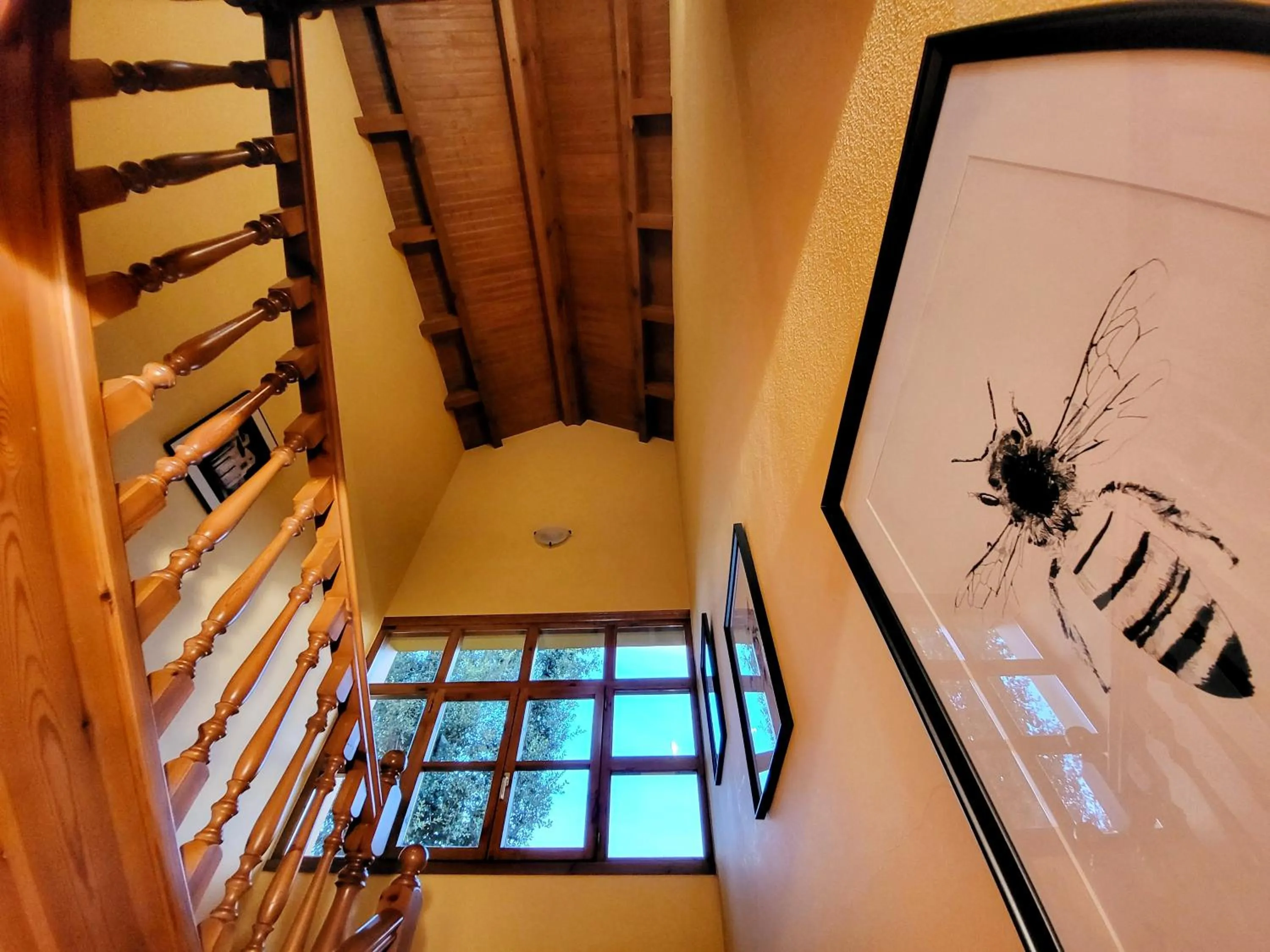 Area and facilities in La Biesca Sebreñu