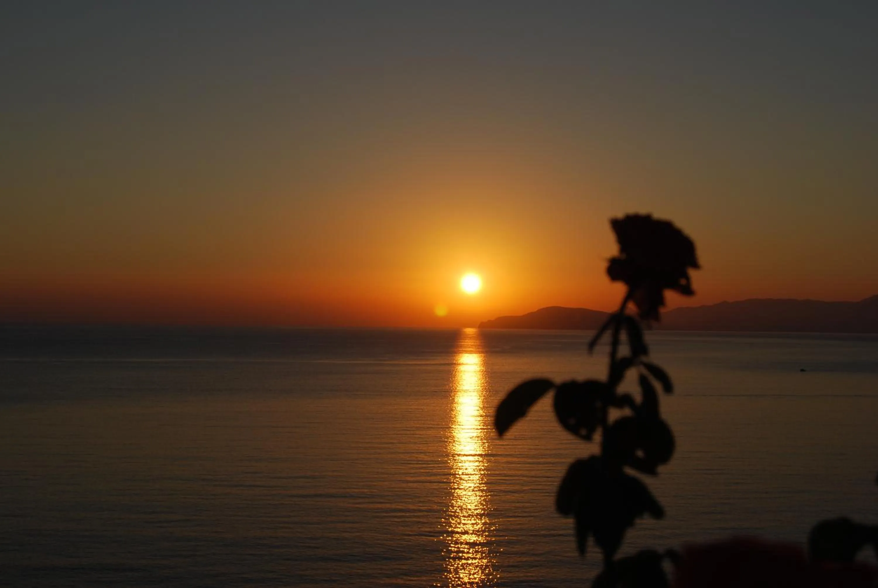 Summer in Ostria Apartments