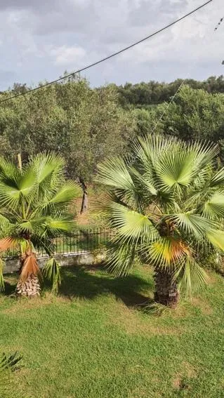 Day in Palmyra Studios