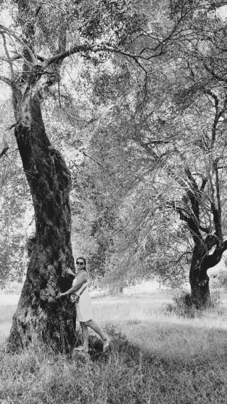 Natural landscape in Palmyra Studios