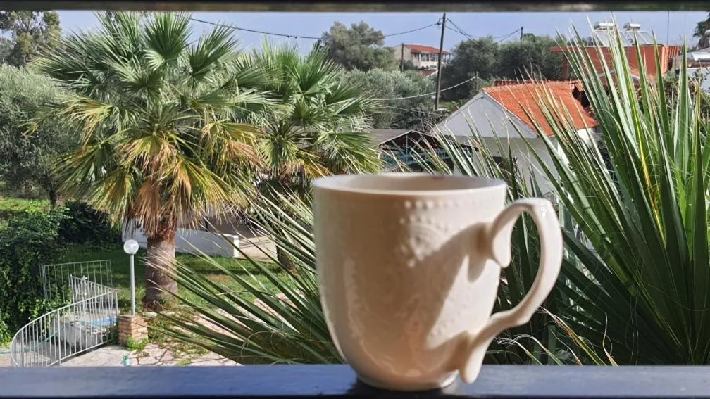 Day in Palmyra Studios