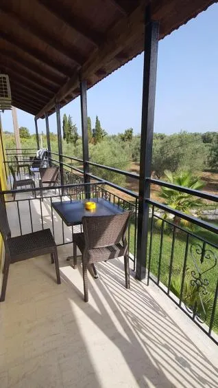 Day in Palmyra Studios