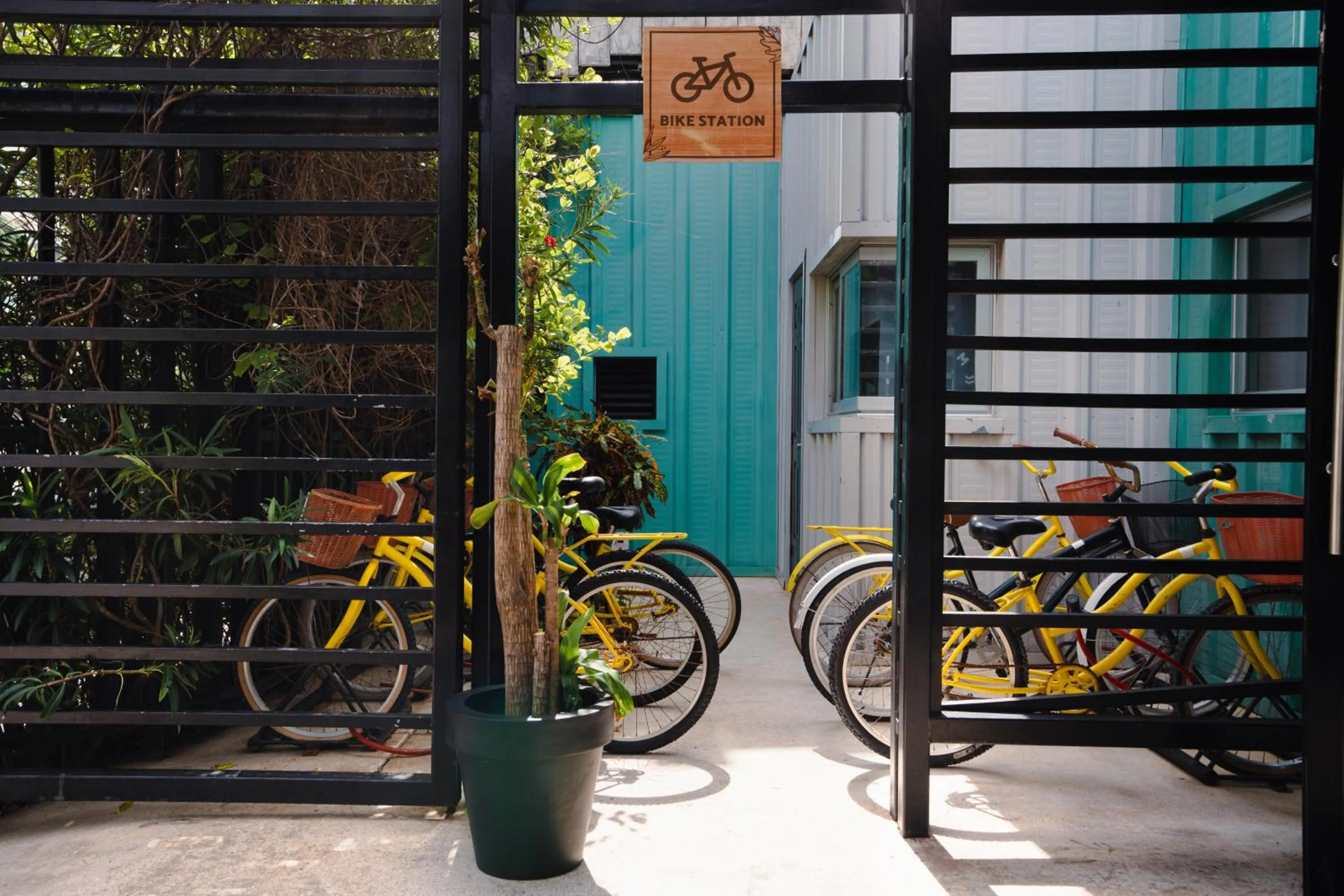 Cycling in Mayan Monkey Cancun - Social Hotel