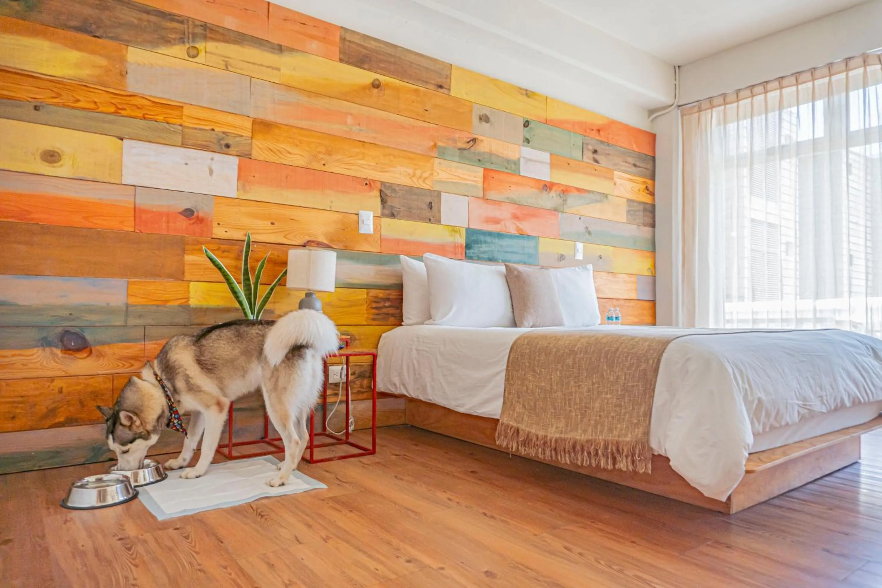 Bed in Mayan Monkey Cancun - Social Hotel