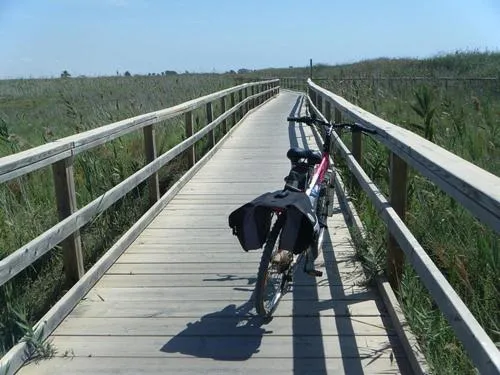 Other in Hotel Mar Menor