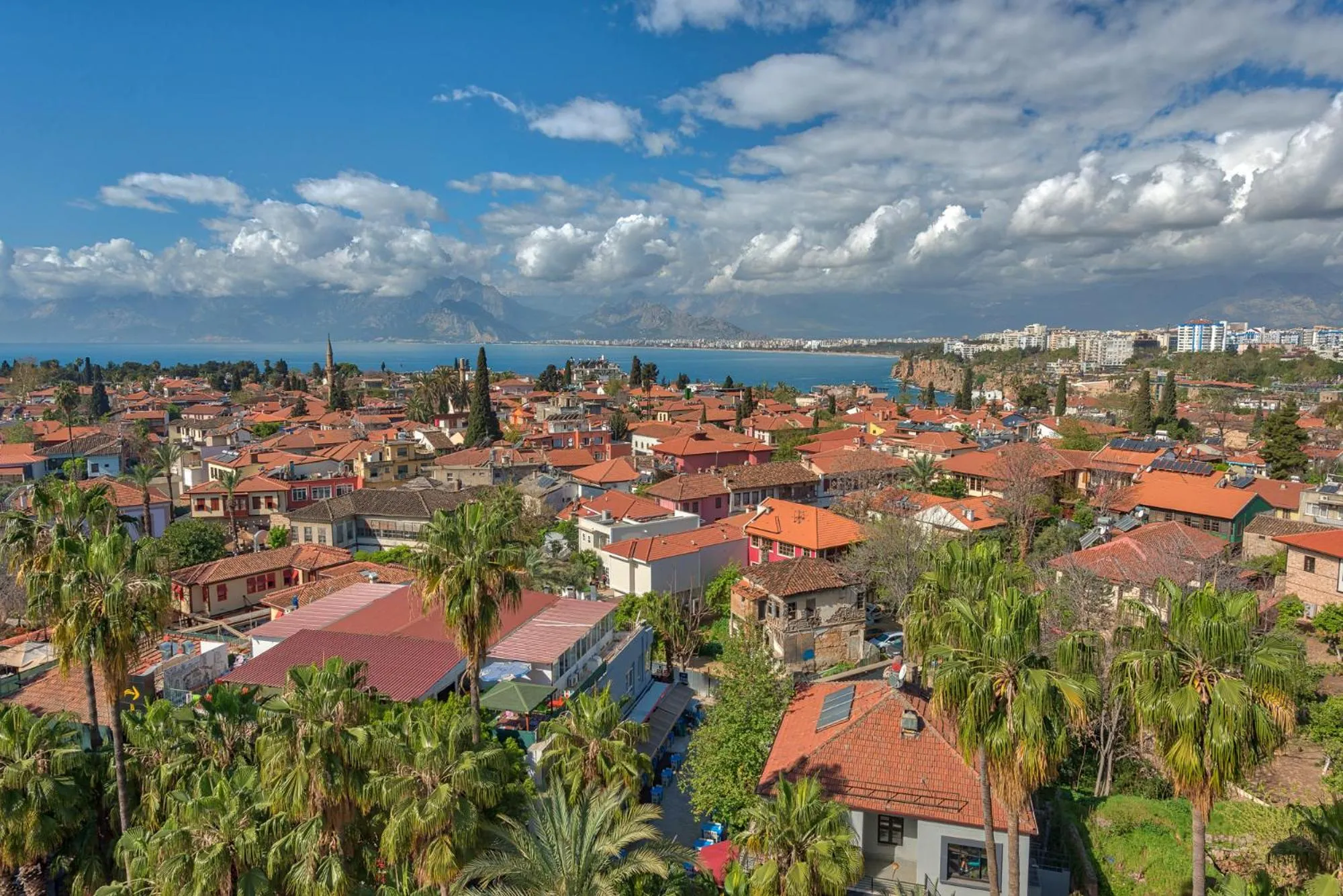 Natural landscape in Arkk Homes