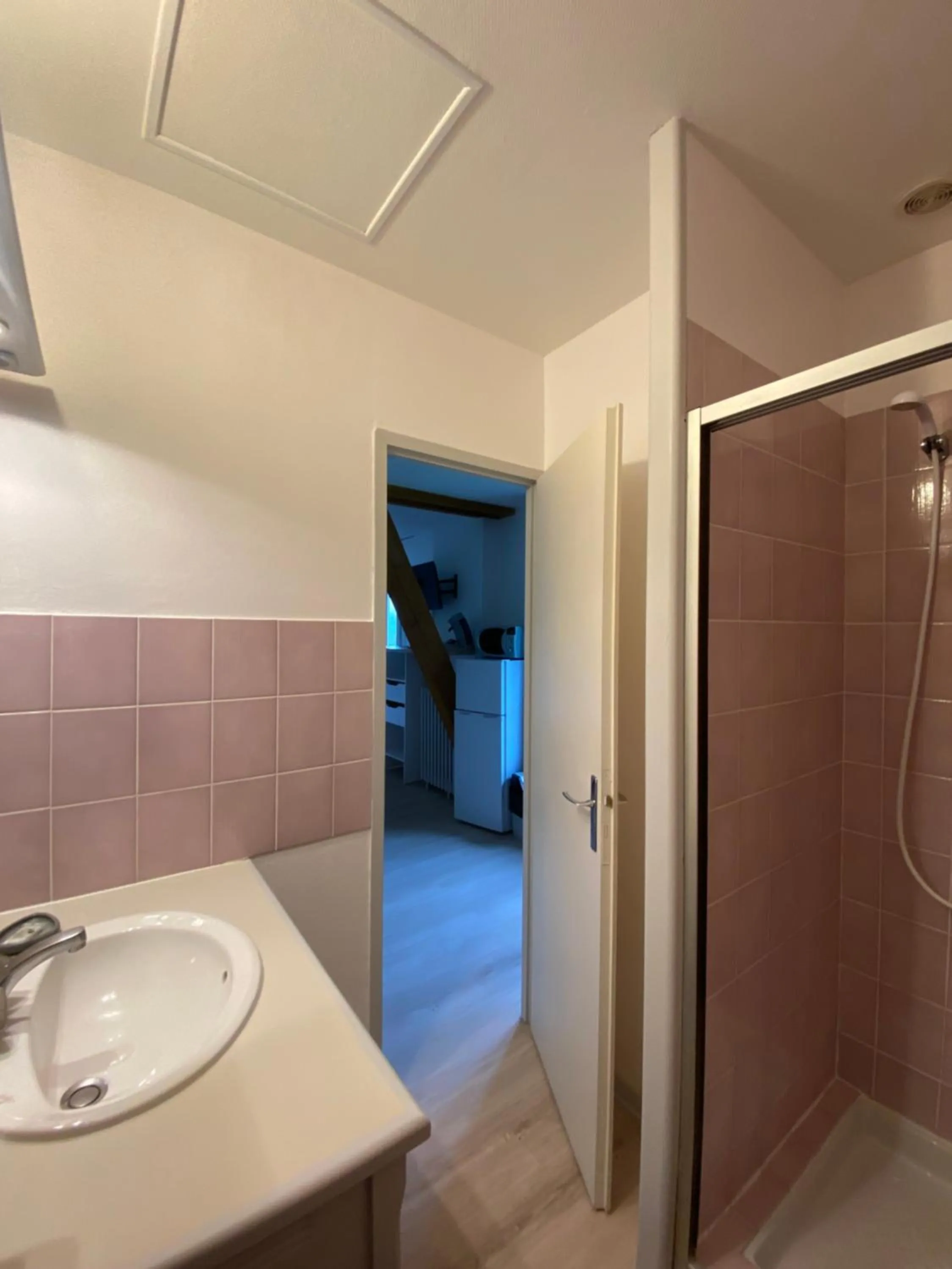 Bathroom in Appart Le Chili- Quartier thermal- Parc remarquable - Linge fourni