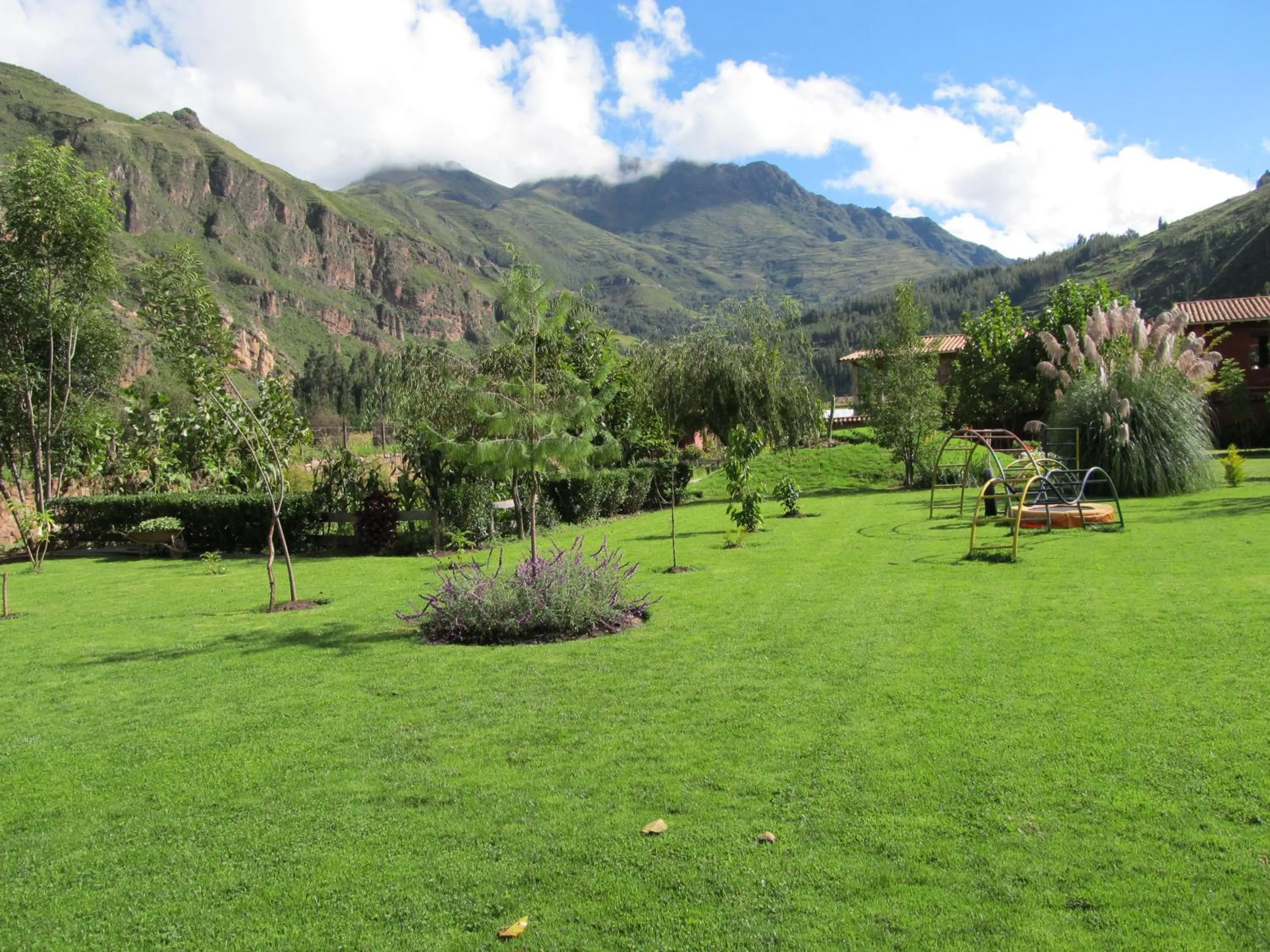 Garden in Melissa Wasi