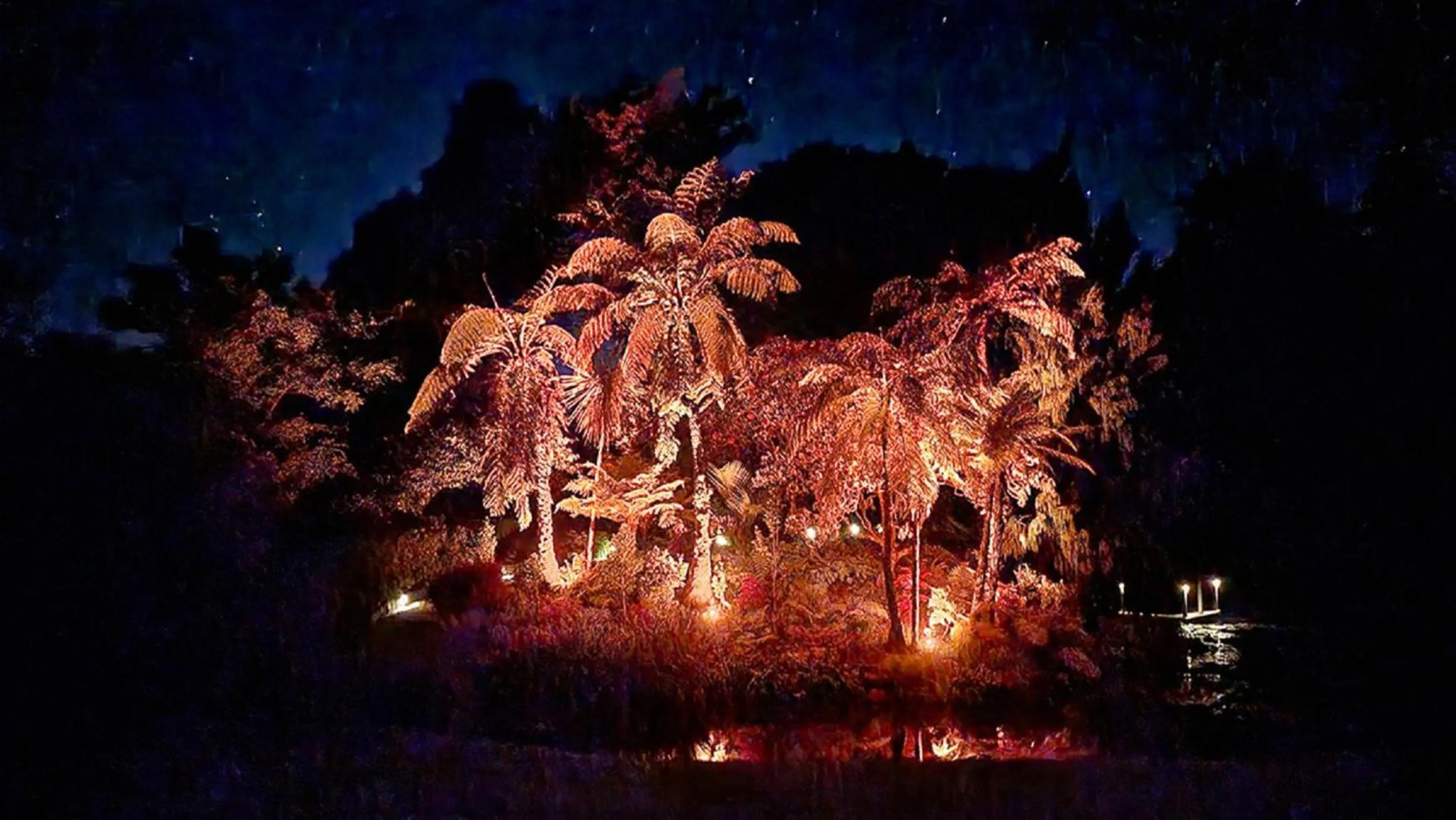 Night in Brecon Pond Bed & Breakfast