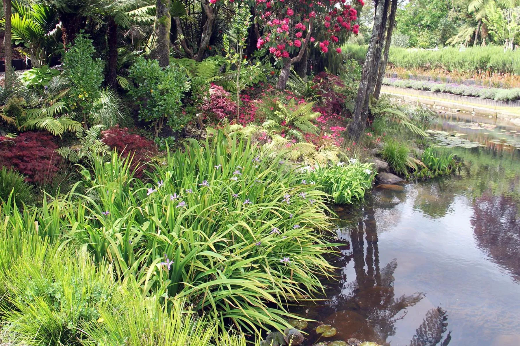 Garden view in Brecon Pond Bed & Breakfast