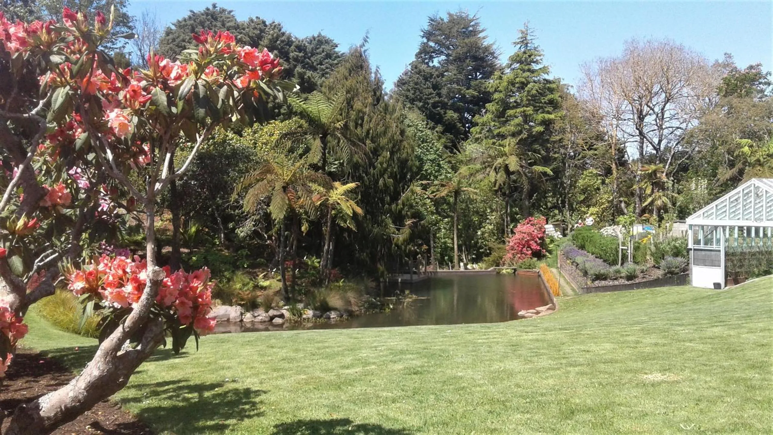 Garden view in Brecon Pond Bed & Breakfast