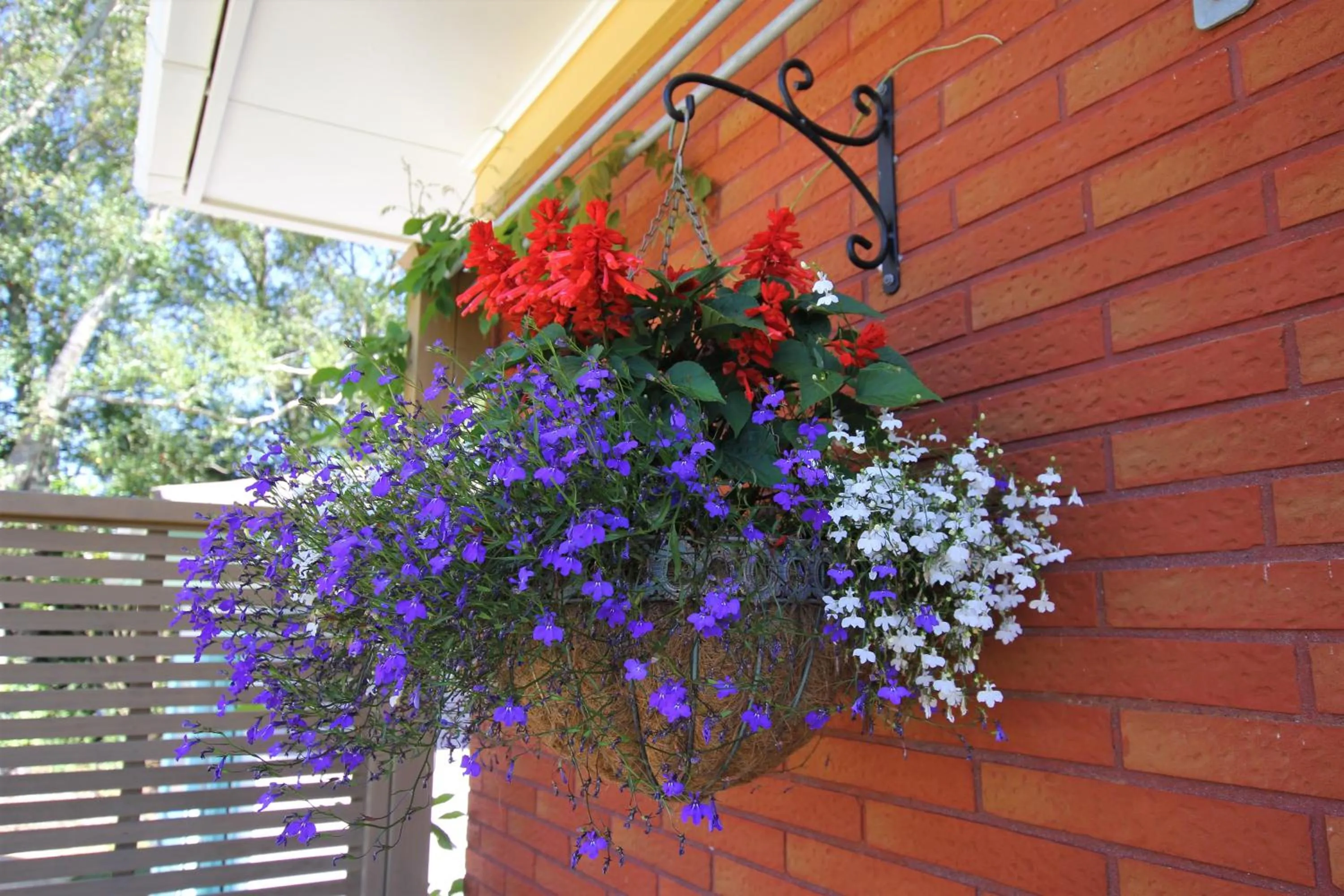 Garden view in Brecon Pond Bed & Breakfast