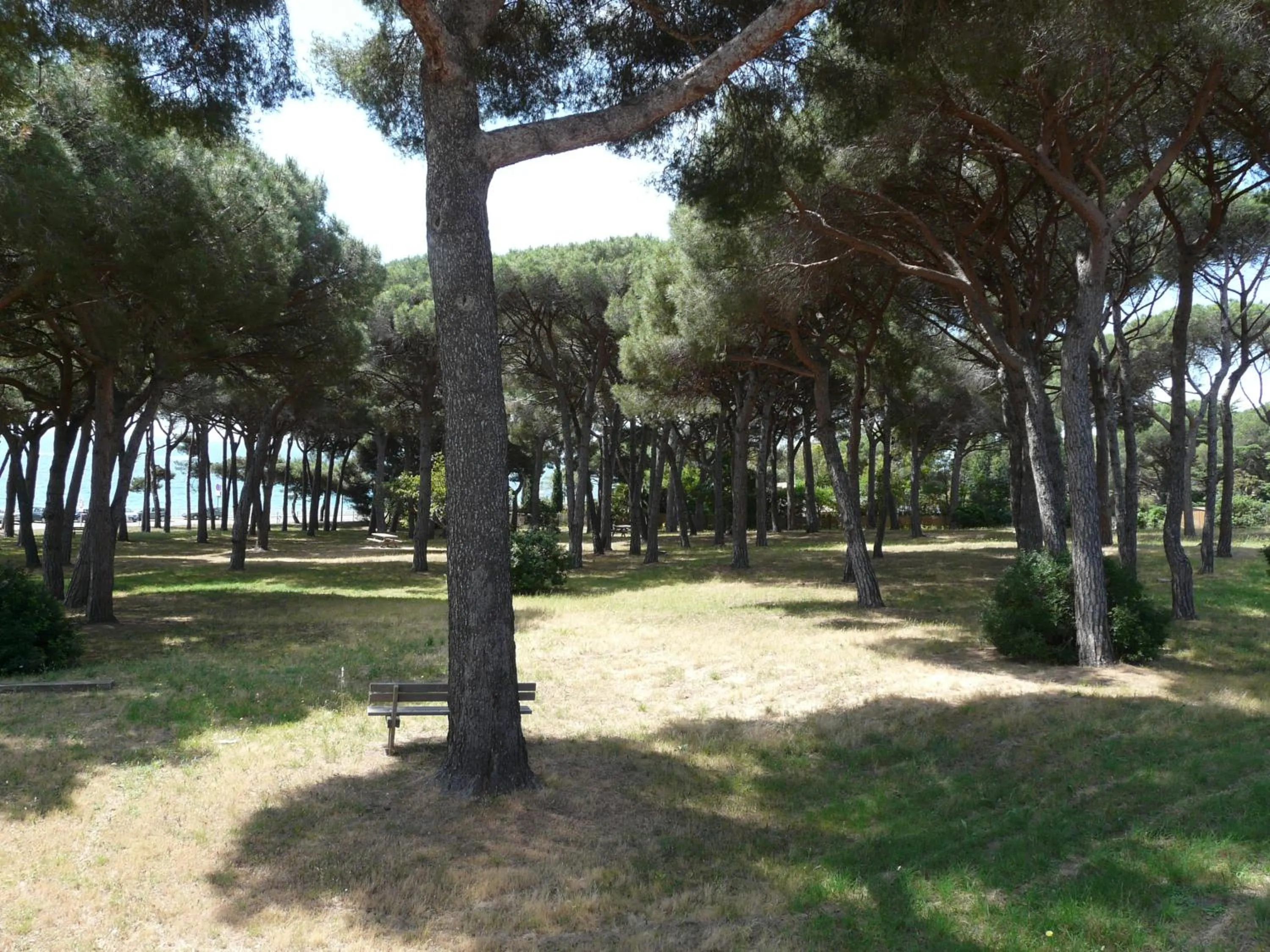 Area and facilities in La Casa Mia