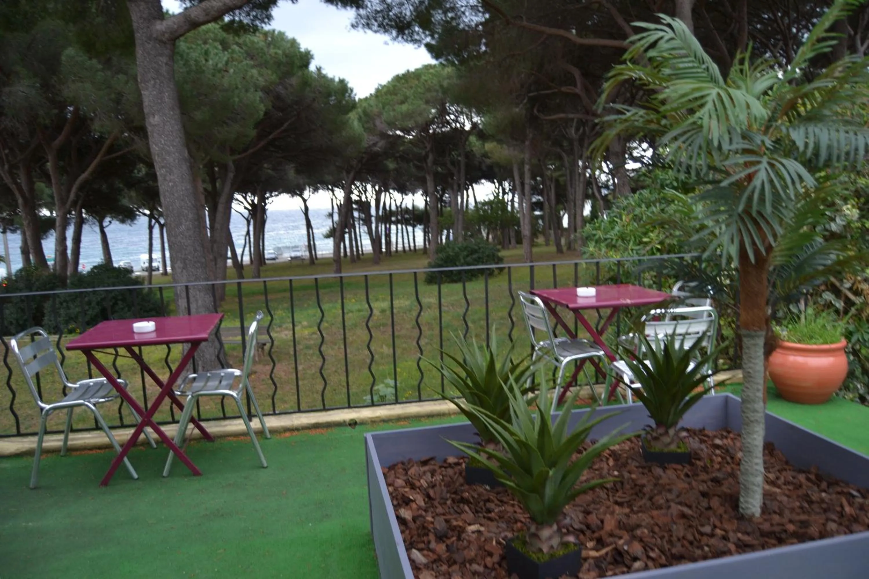 Restaurant/places to eat in La Casa Mia