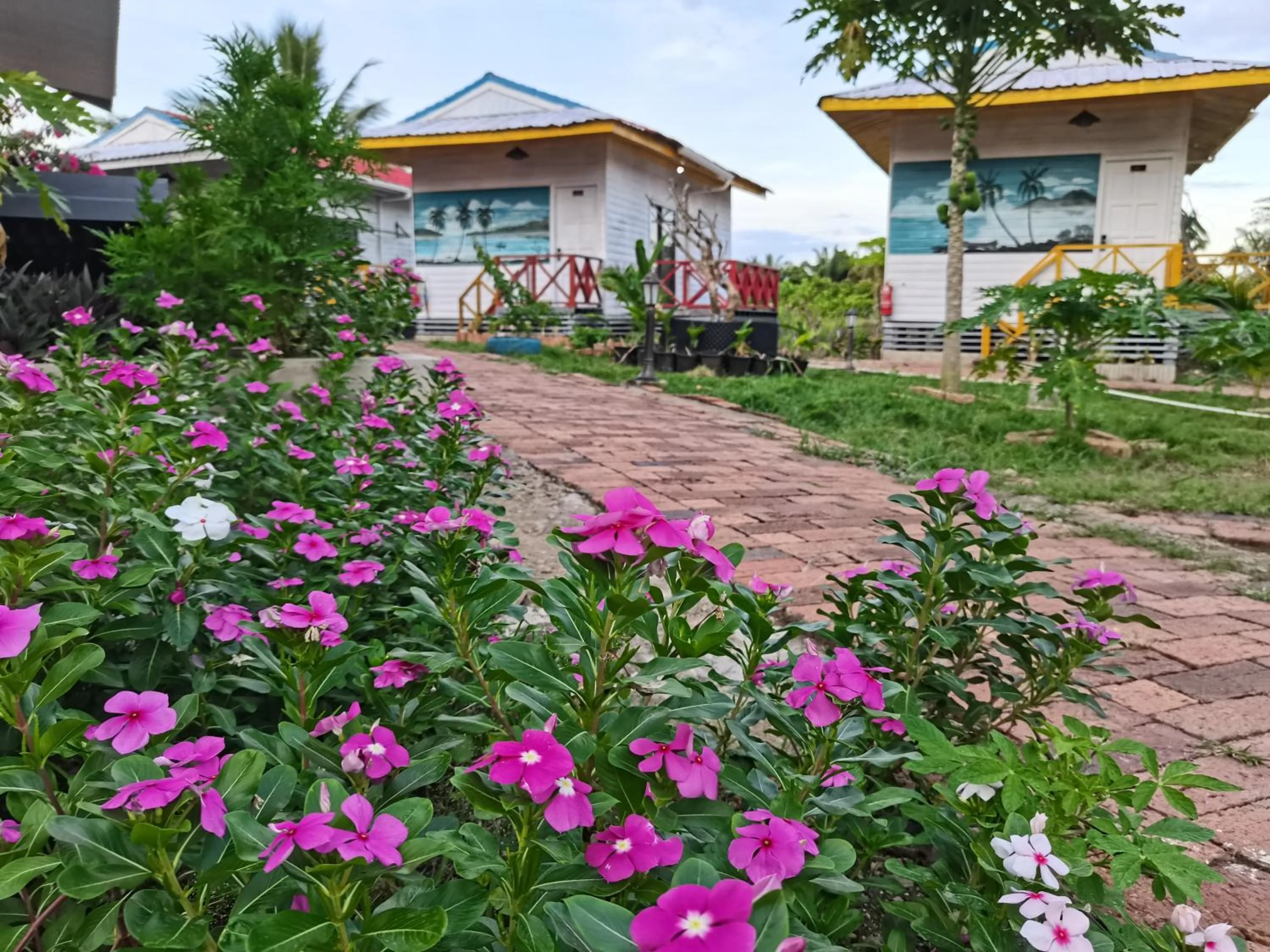 Coconut Garden Resort仙本那顺德人家棕榈园