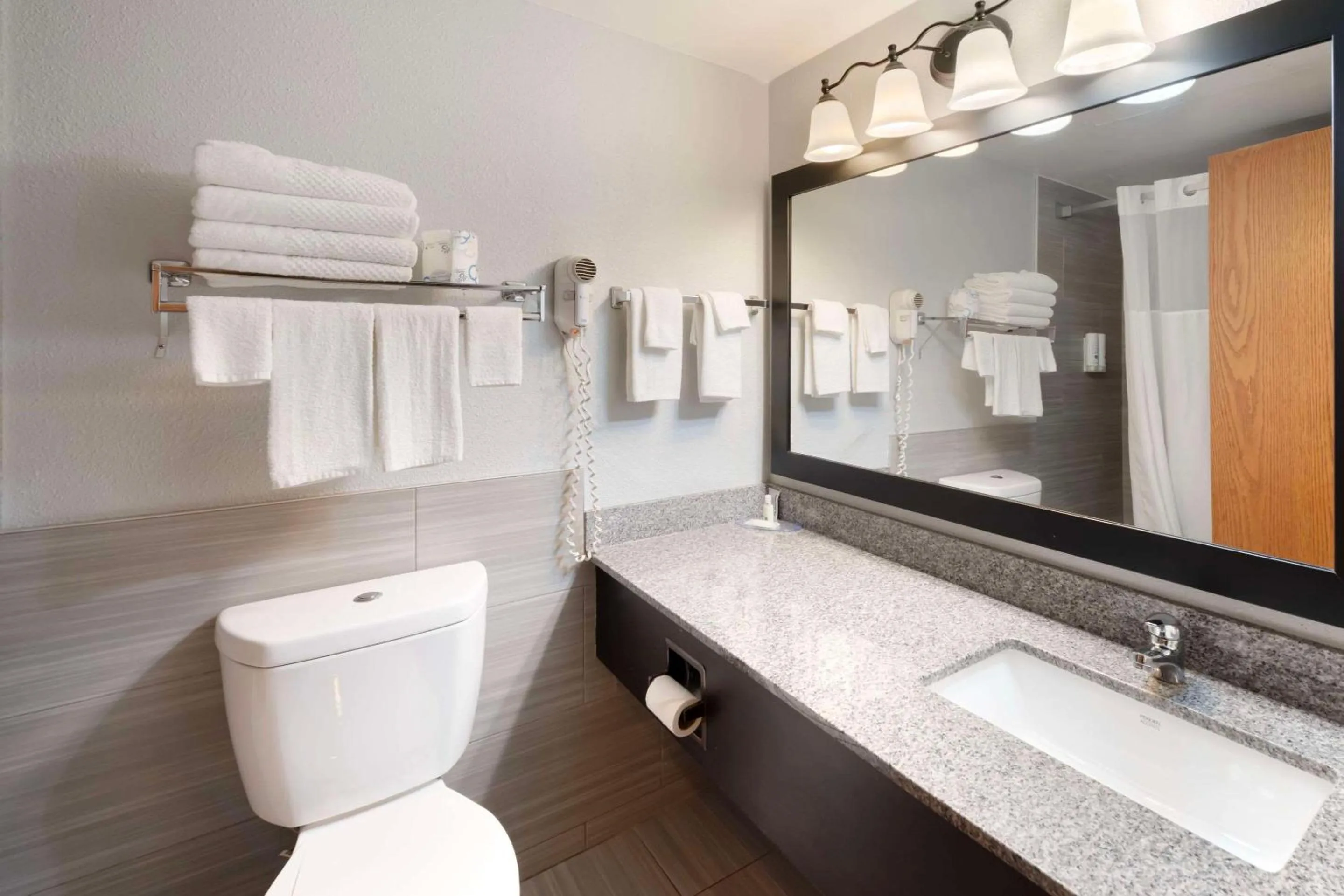 Toilet in Quality Inn & Suites Mayo Clinic Area