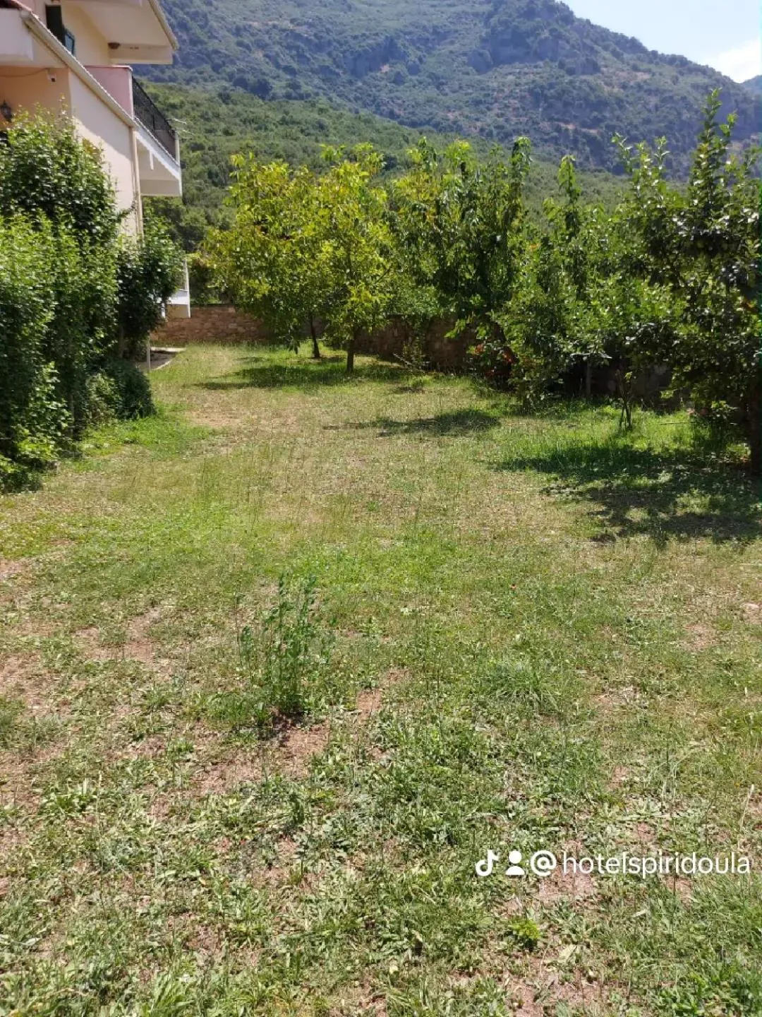 Patio in Hotel Spiridoula
