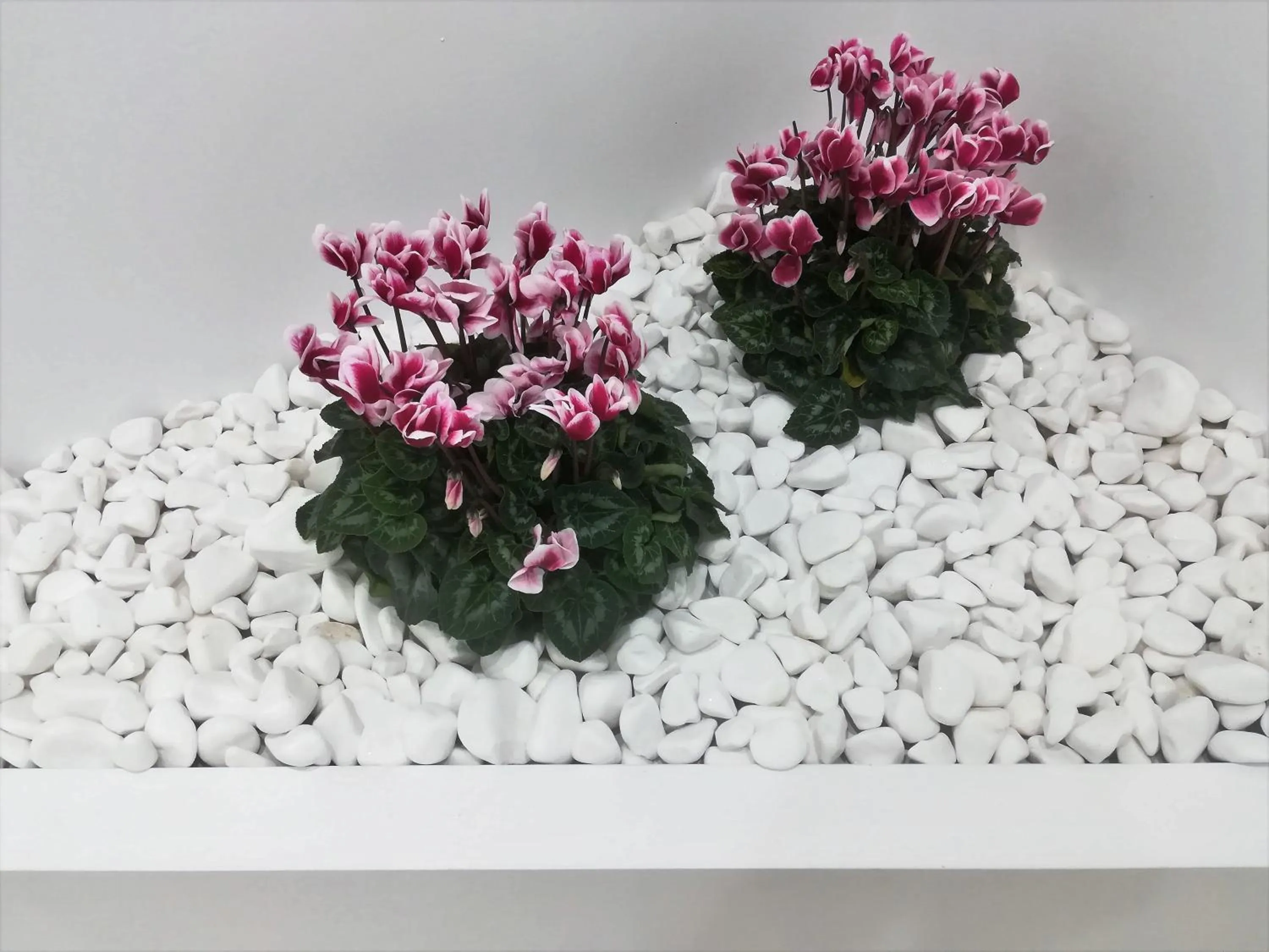 Property building in Scorpios Hotel & Suites