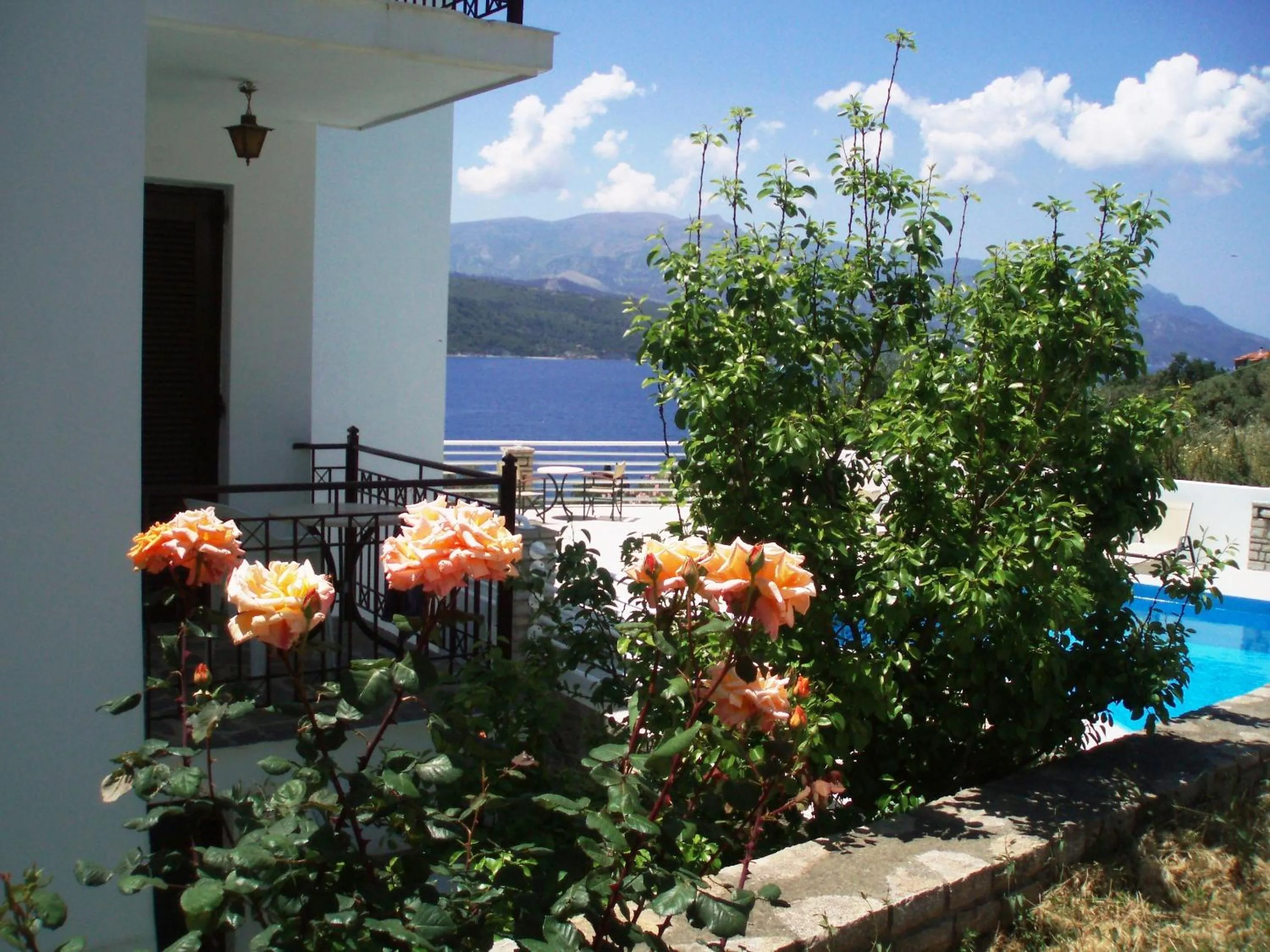 Garden in Scorpios Hotel & Suites