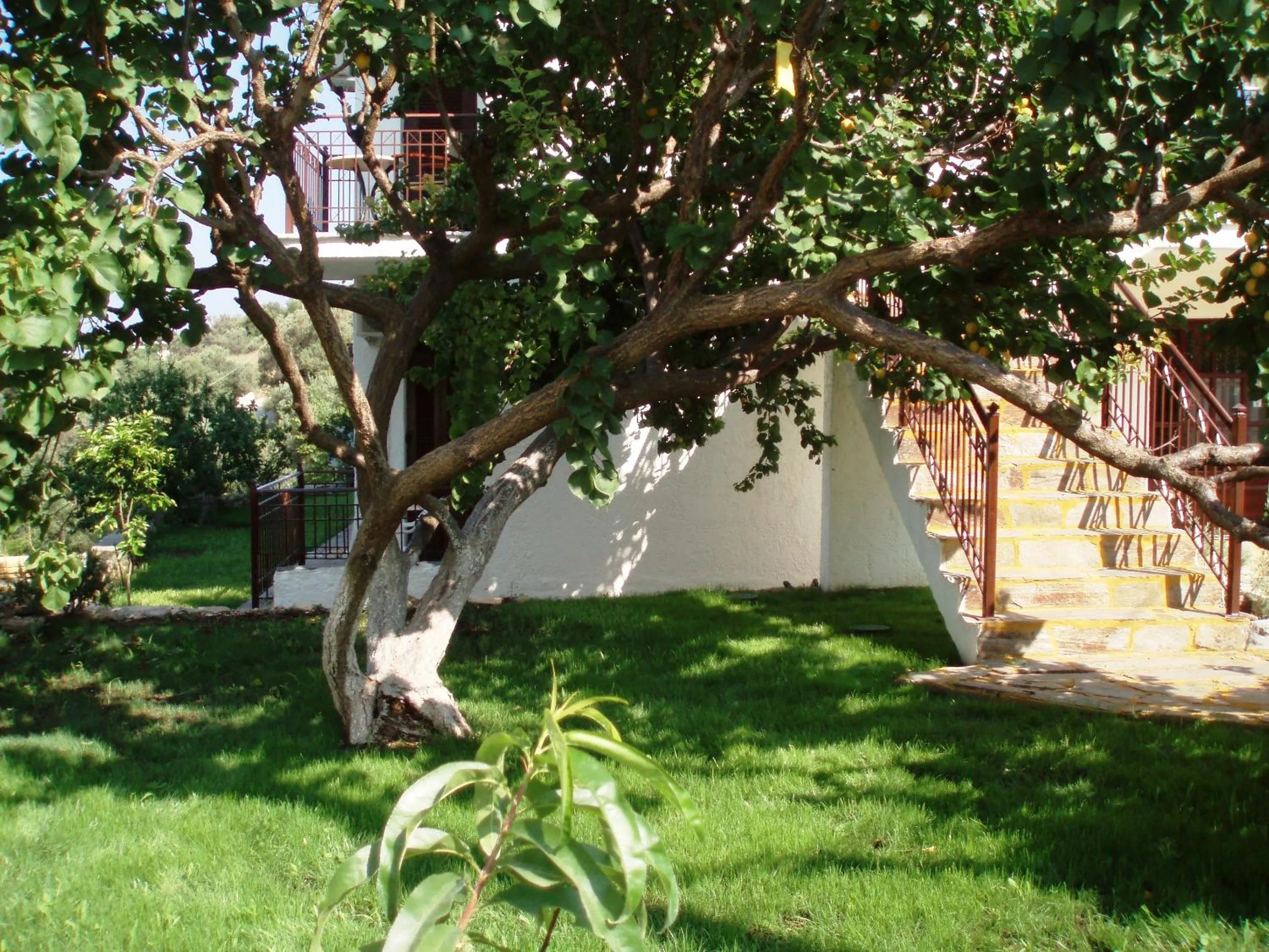 Garden in Scorpios Hotel & Suites