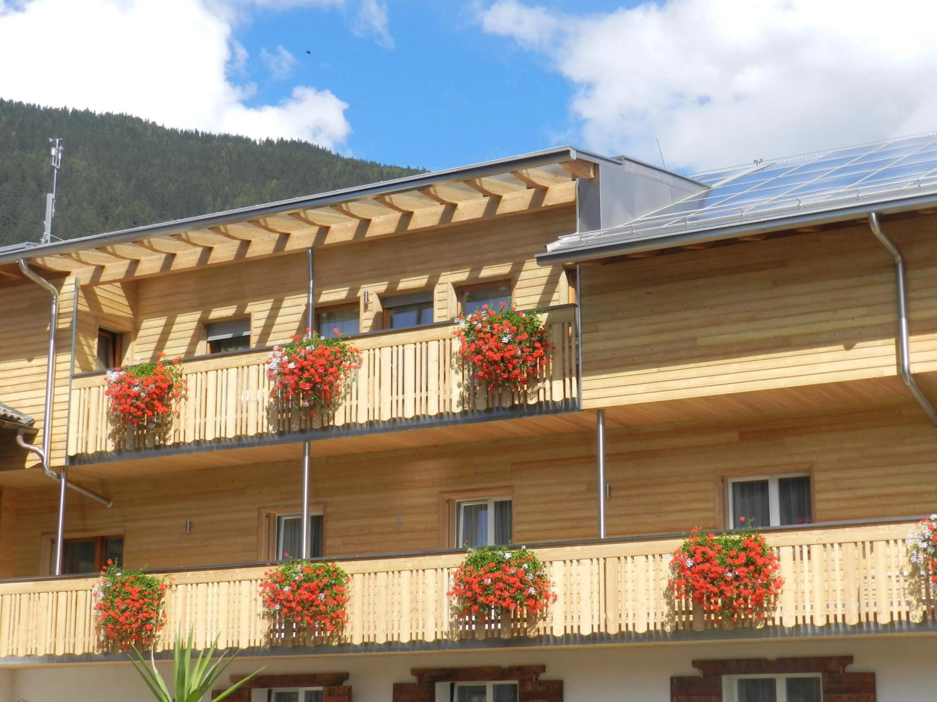 Apartments Bachmann