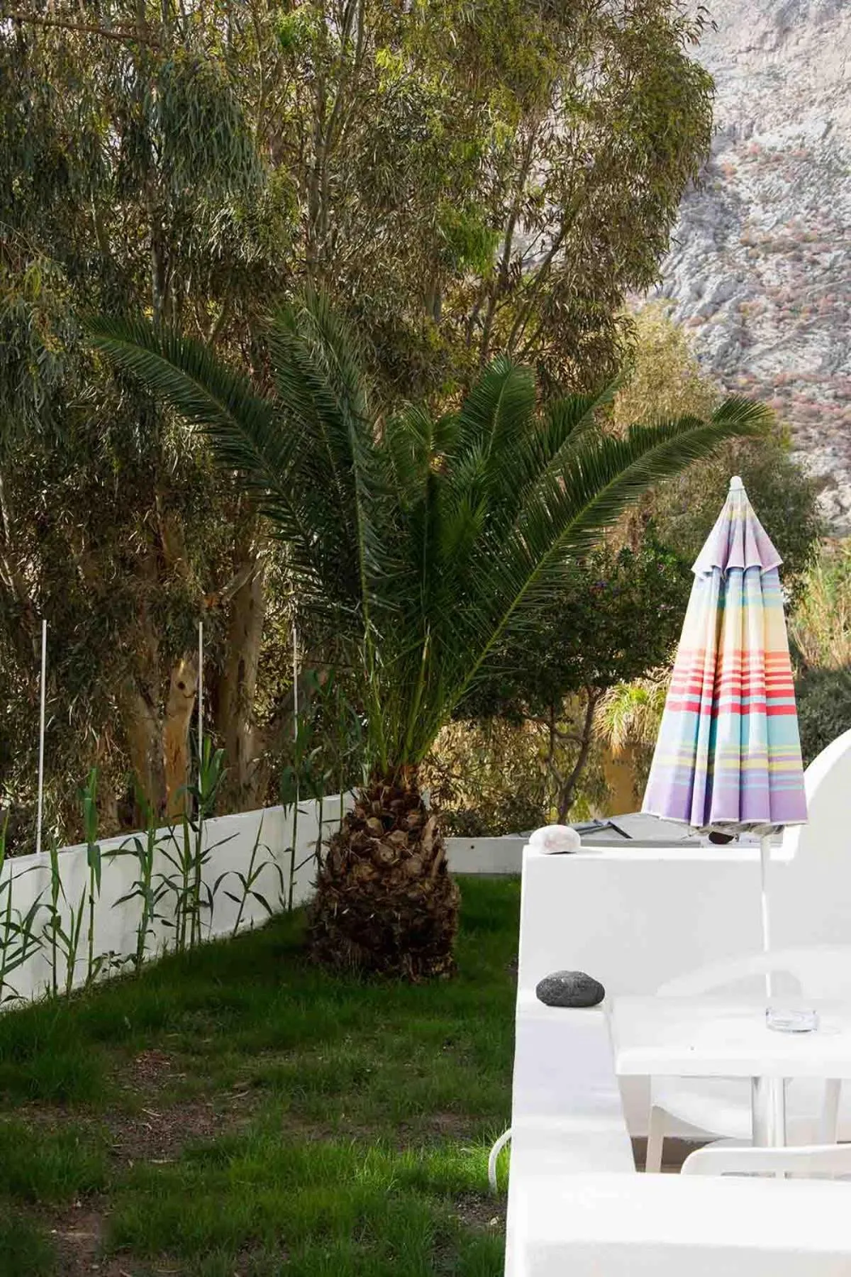 Garden in Sail Inn Studios & Apartments