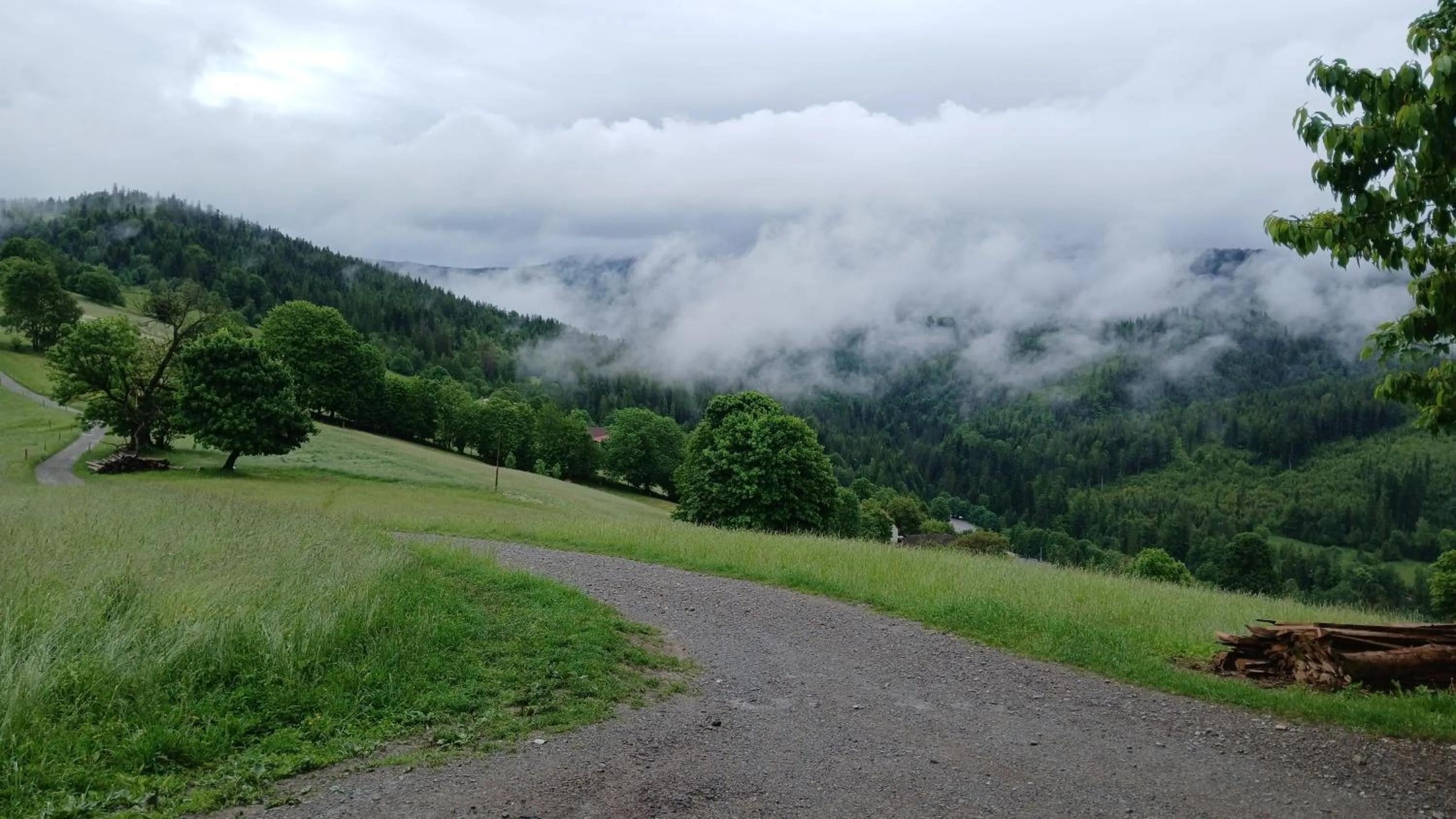 Nearby landmark in Willa Wisełka