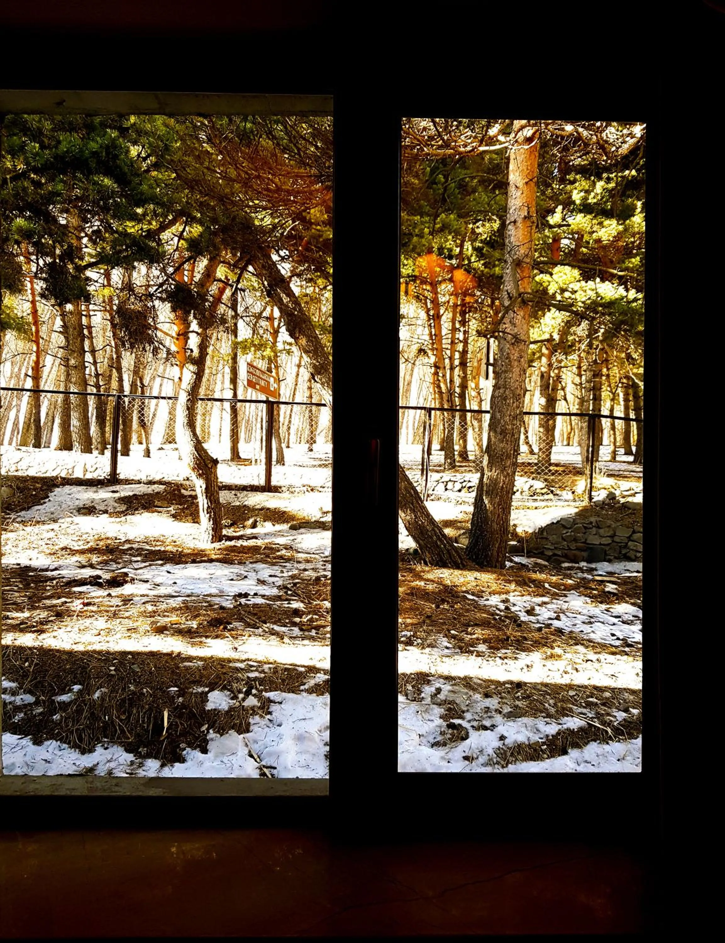 Shower in Cozy Hotel Kazbegi
