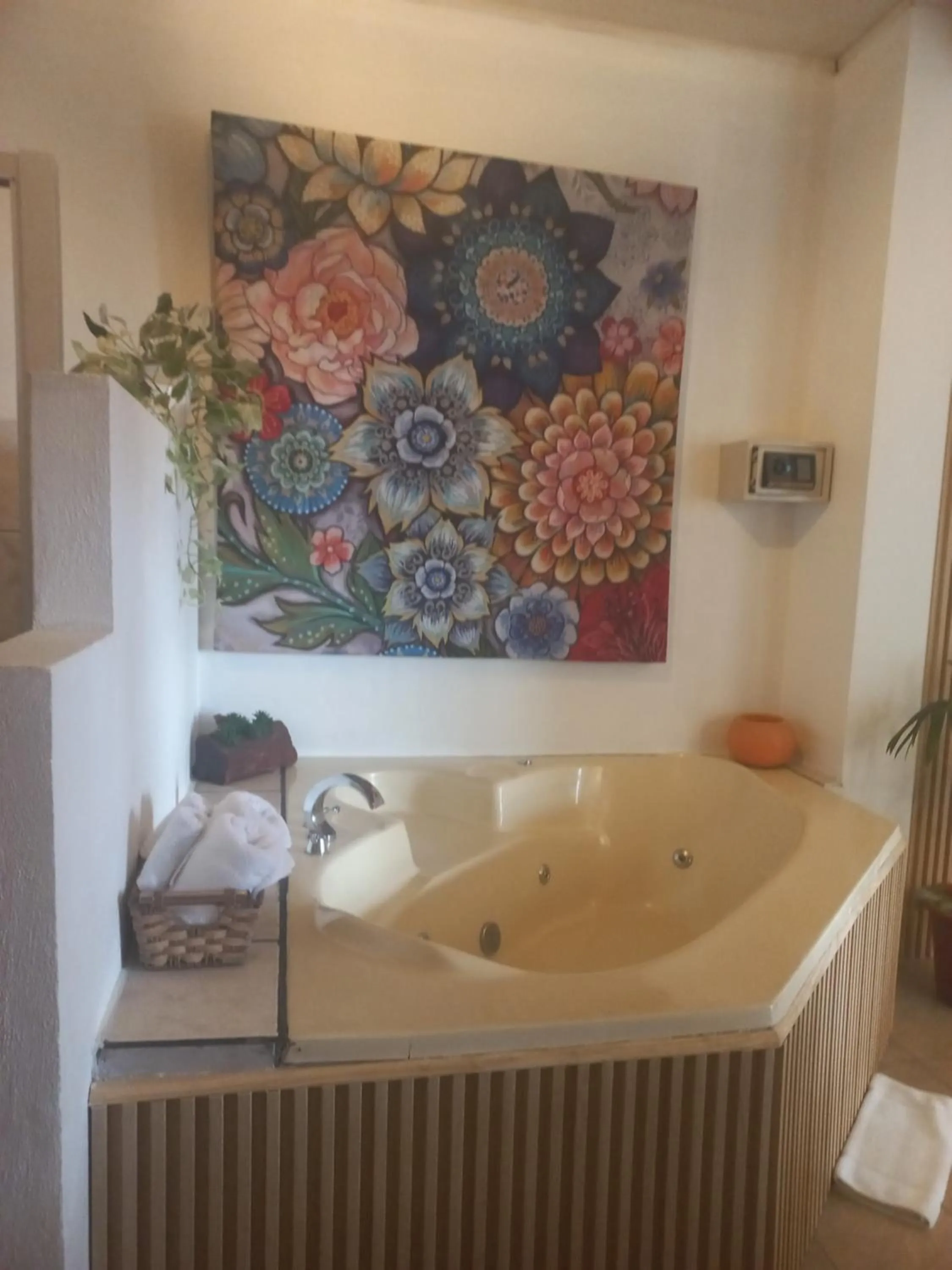 Photo of the whole room in Hotel Las Colinas