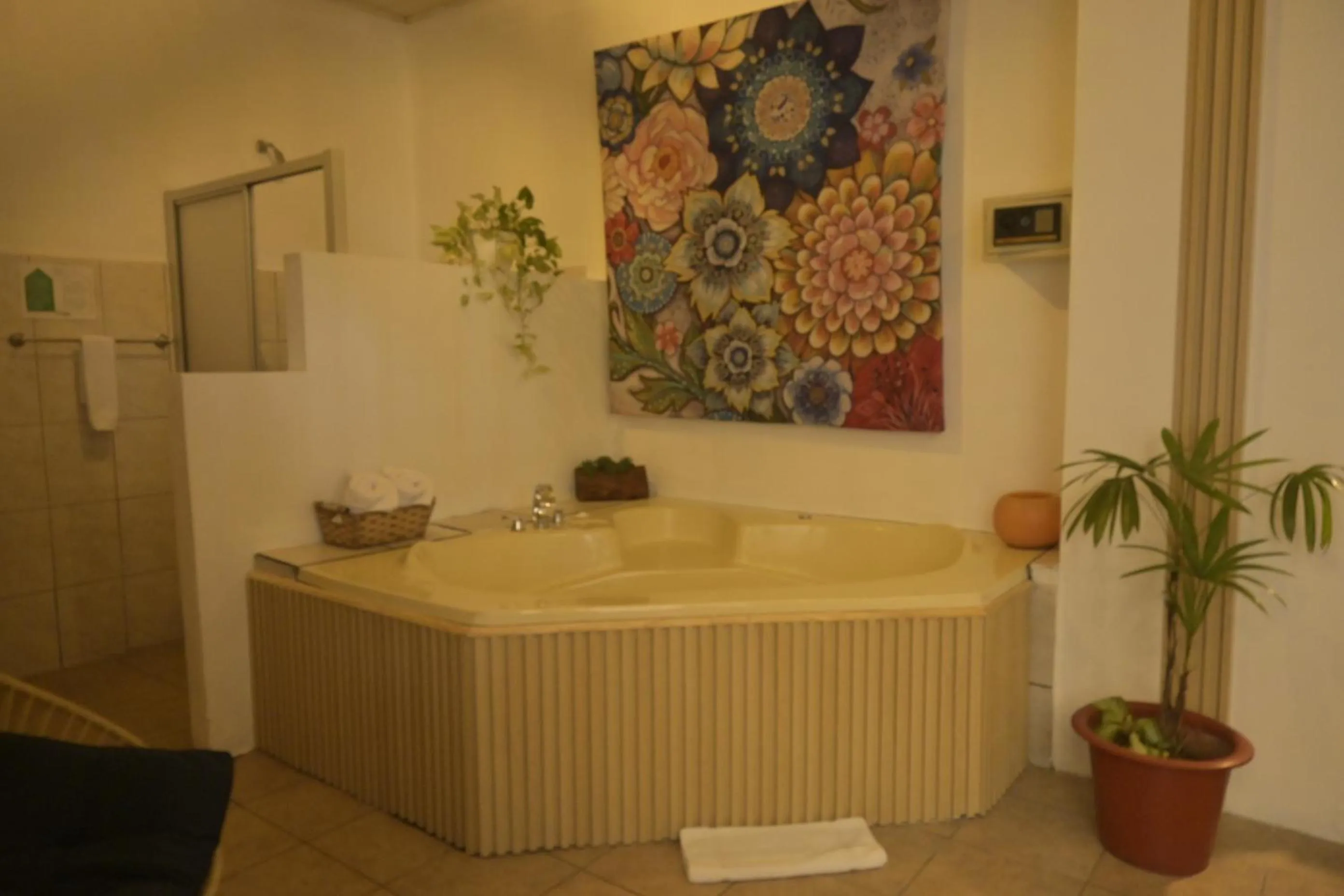 Photo of the whole room in Hotel Las Colinas