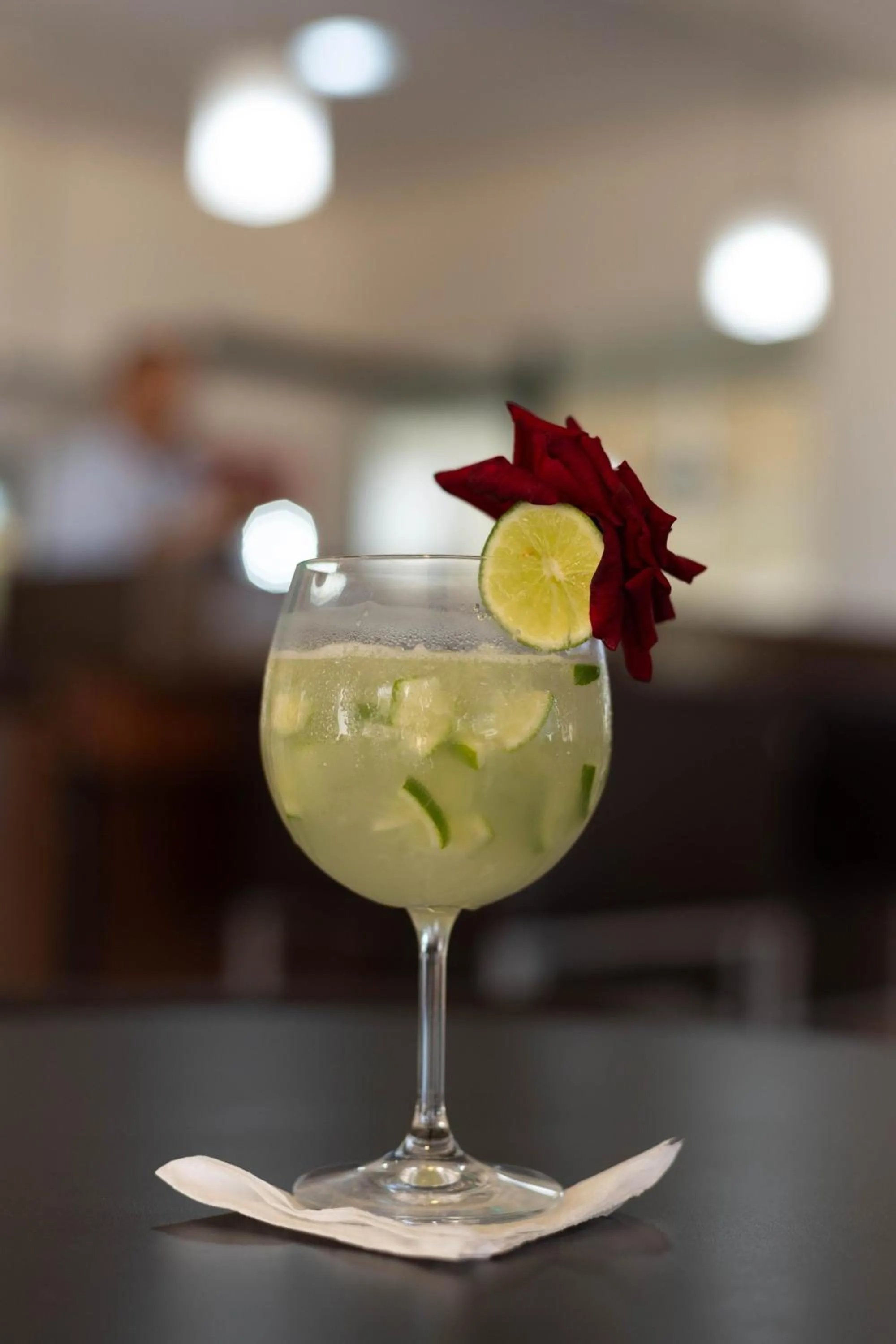 Hits Pantanal Hotel Aeroporto Cuiabá