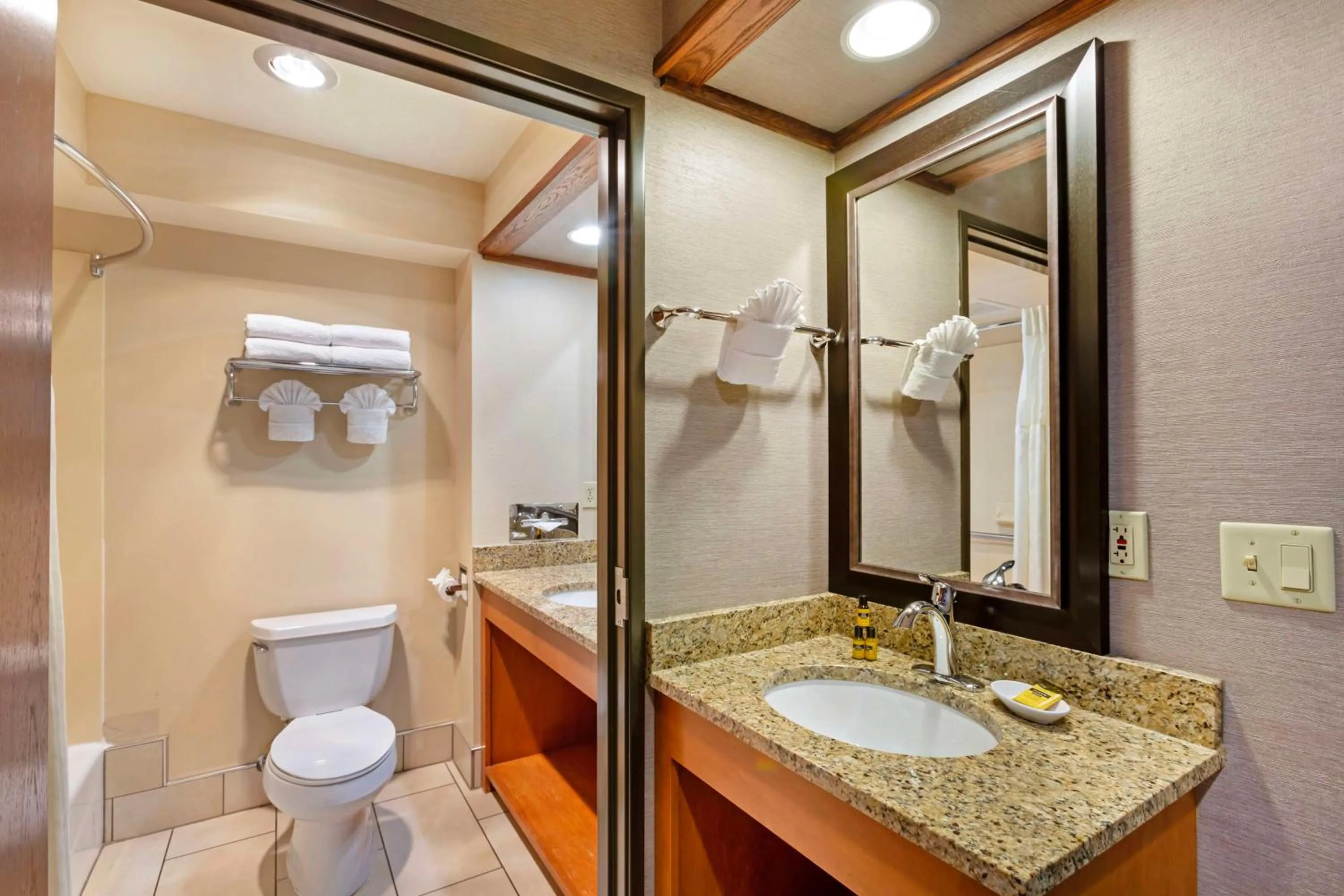 Bathroom in Best Western Plus GranTree Inn
