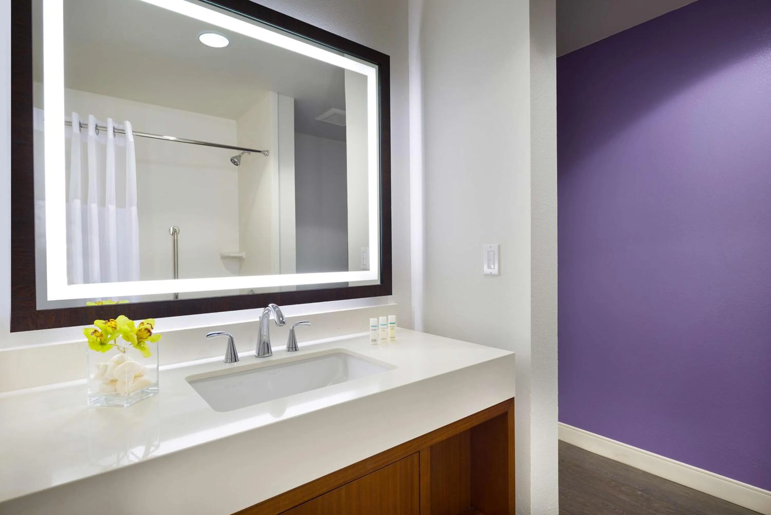Bathroom in Hilton Garden Inn Kauai Wailua Bay, HI