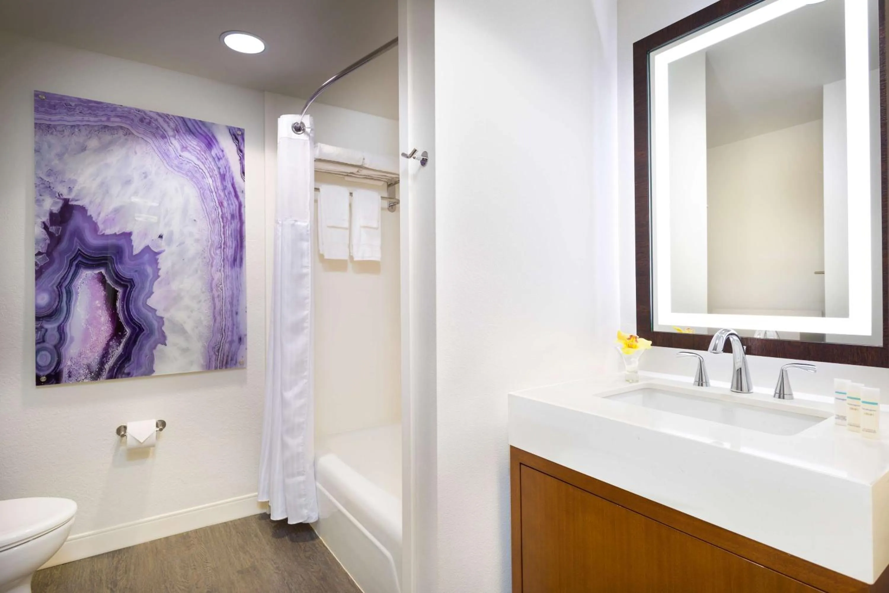 Bathroom in Hilton Garden Inn Kauai Wailua Bay, HI