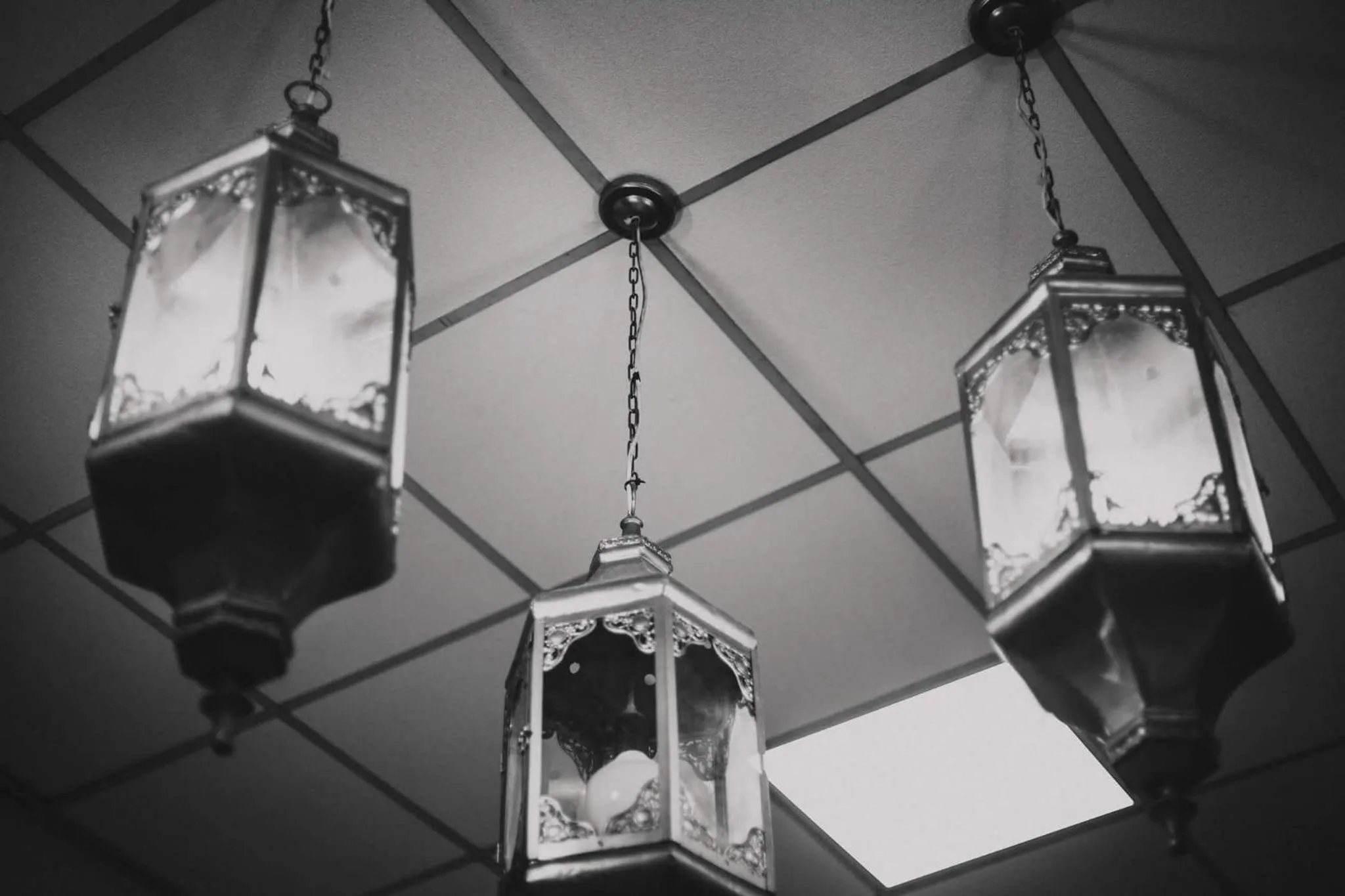 Roger's Hostel Tel Aviv (age 18-45)