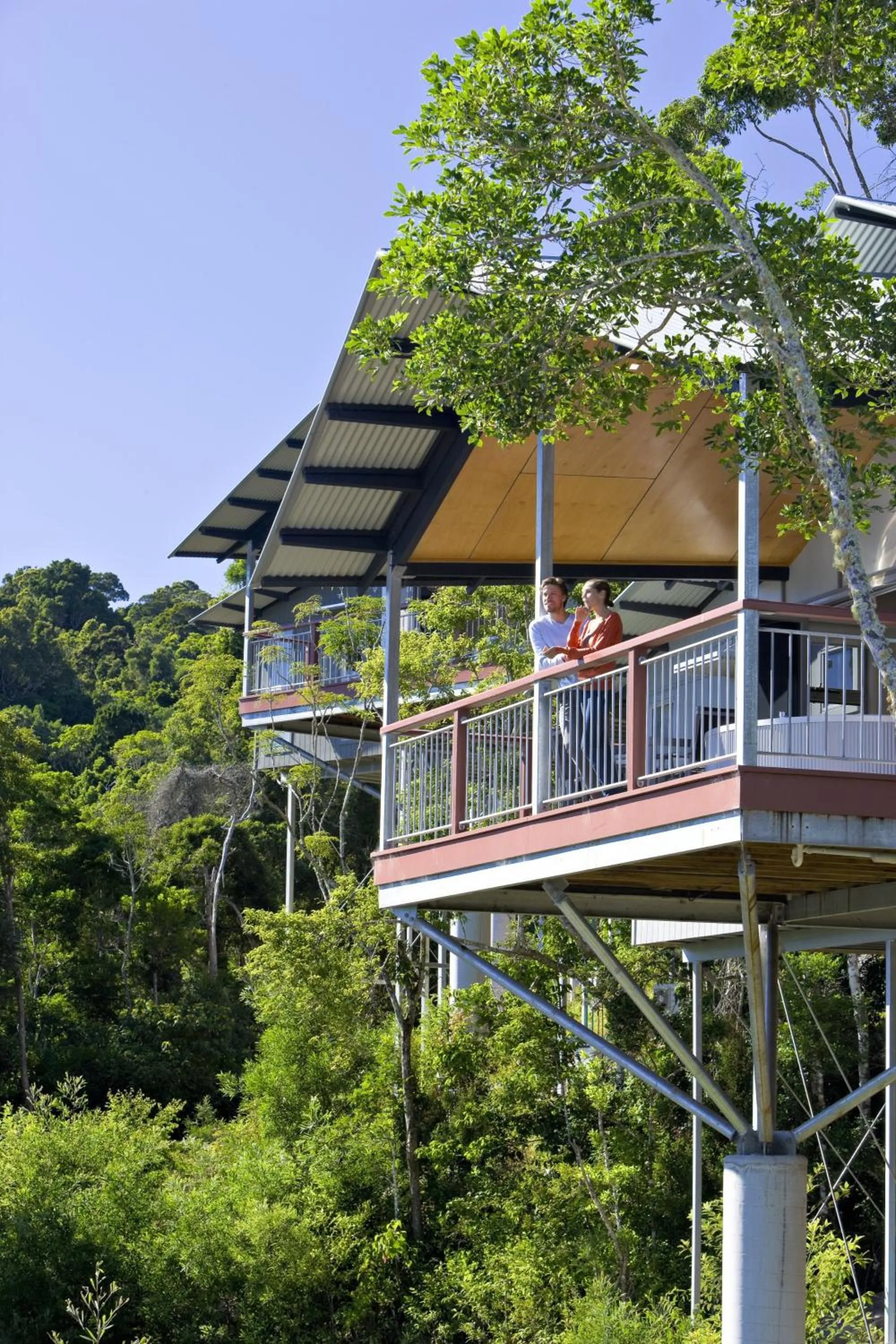 Property building in O'Reilly's Rainforest Retreat
