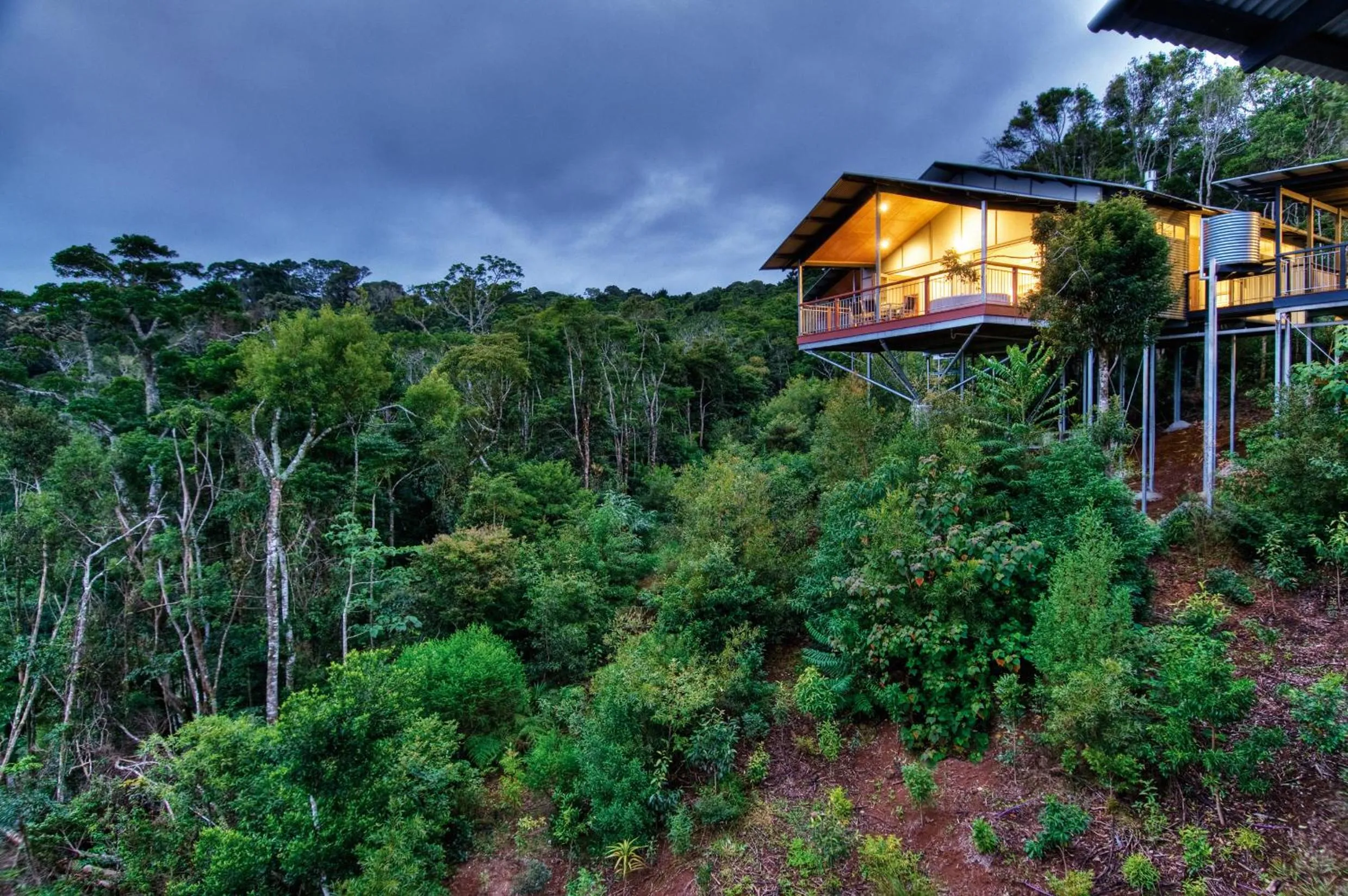 Property building in O'Reilly's Rainforest Retreat