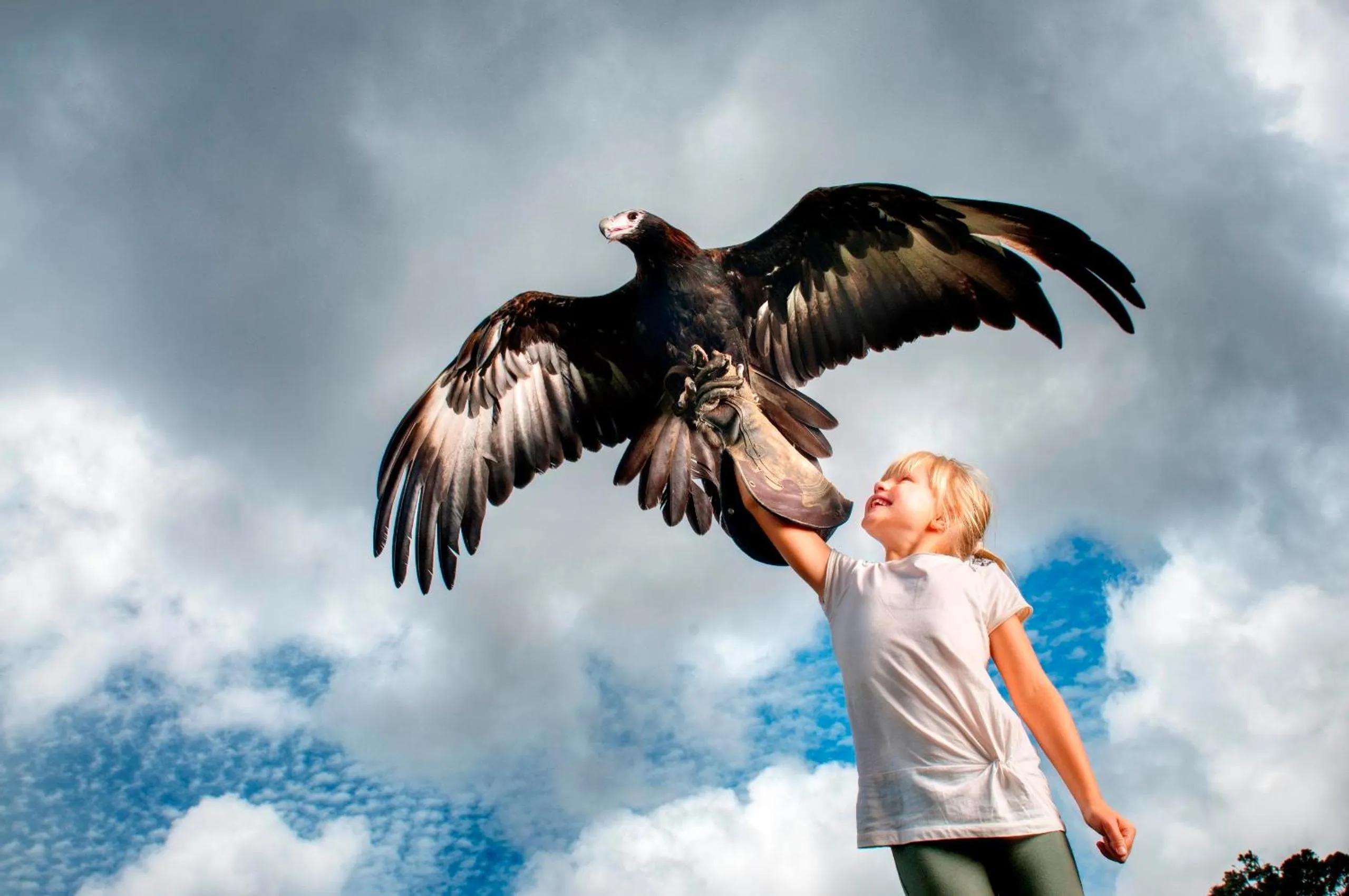 Day in O'Reilly's Rainforest Retreat