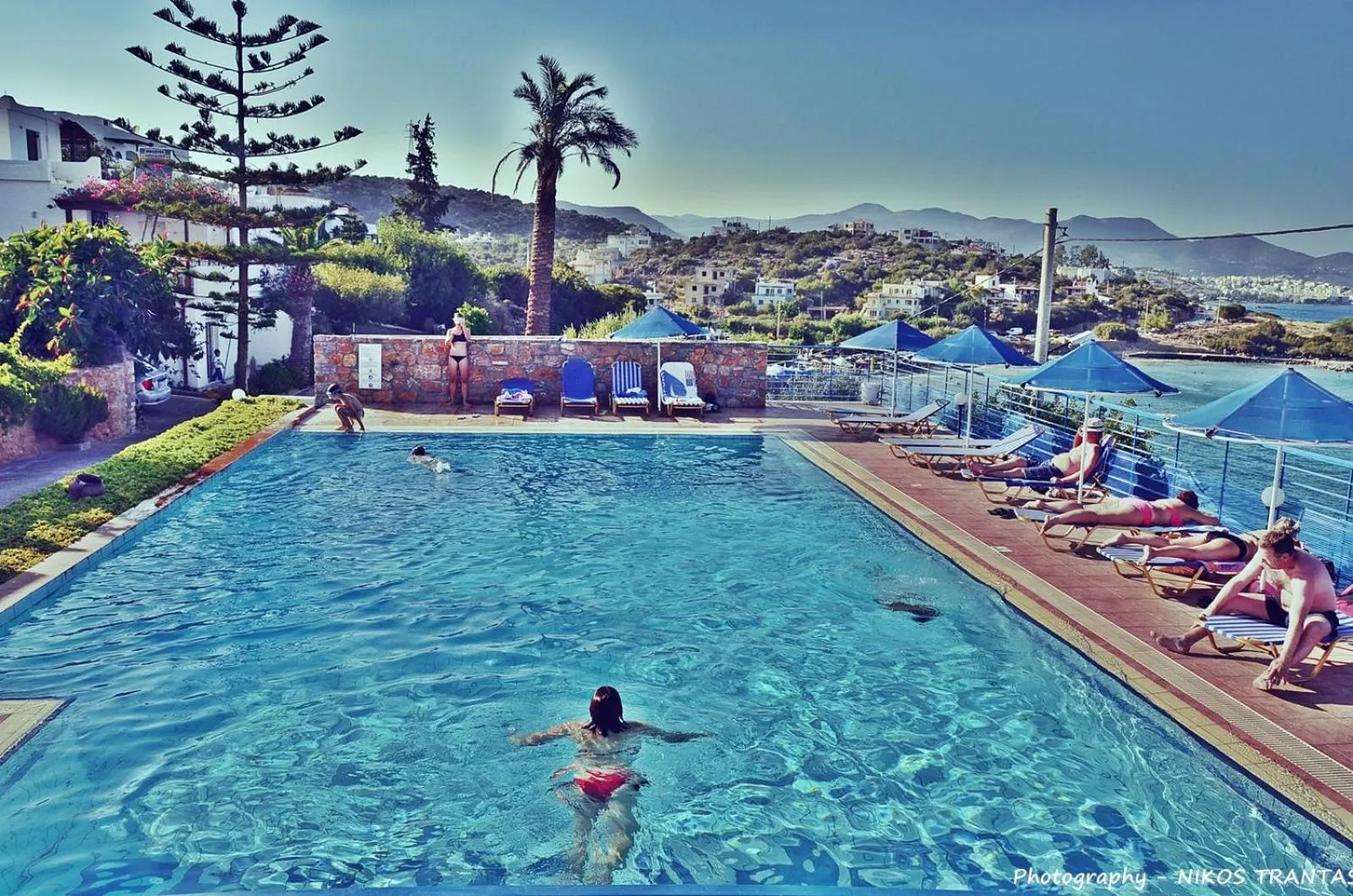 Swimming pool in Poppy Villas