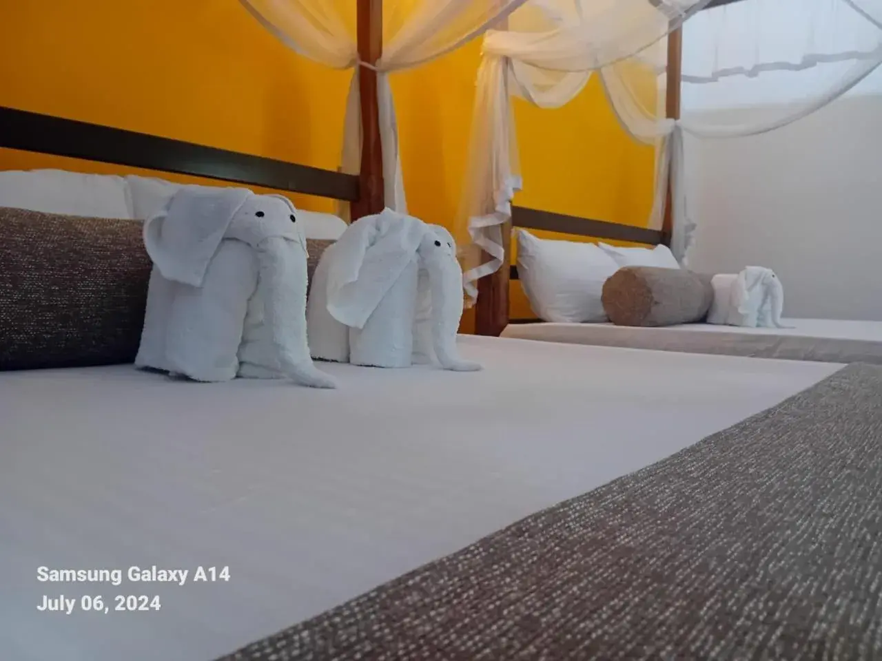 Peacock Riverside Peacock Riverside