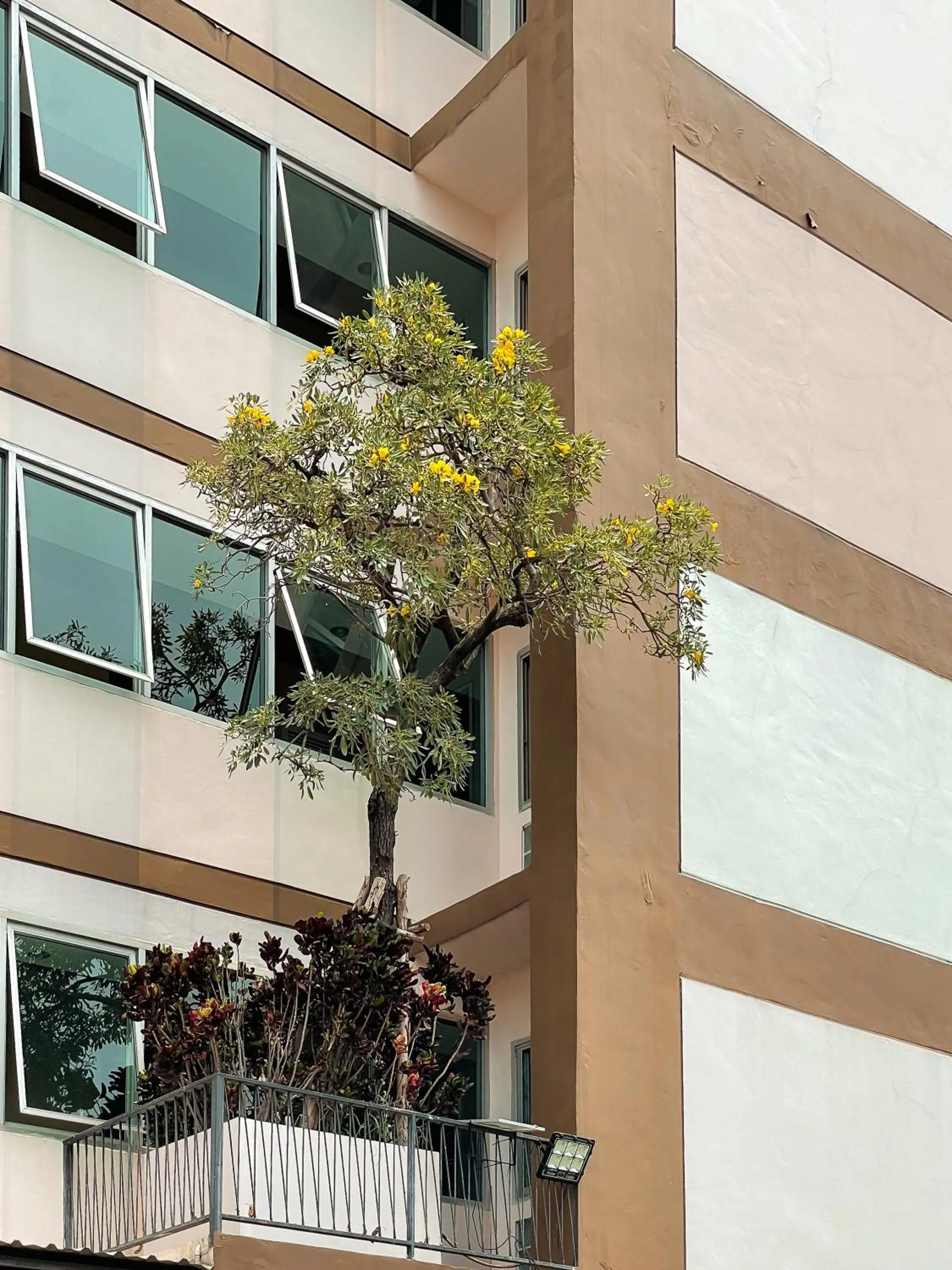Facade/entrance in Crystal Place Parkkred