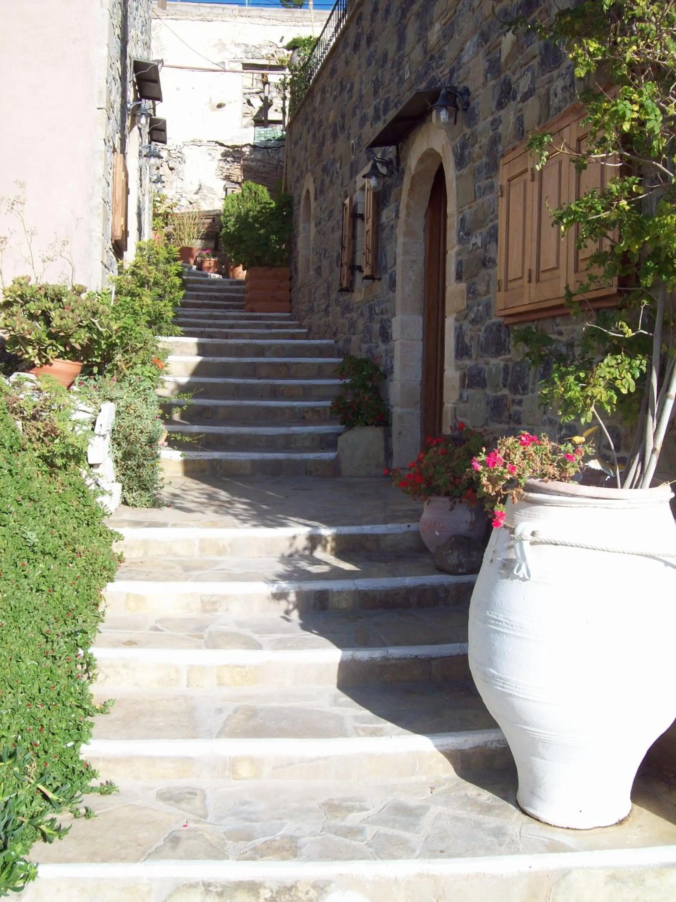 Area and facilities in Diktynna Traditional Villas