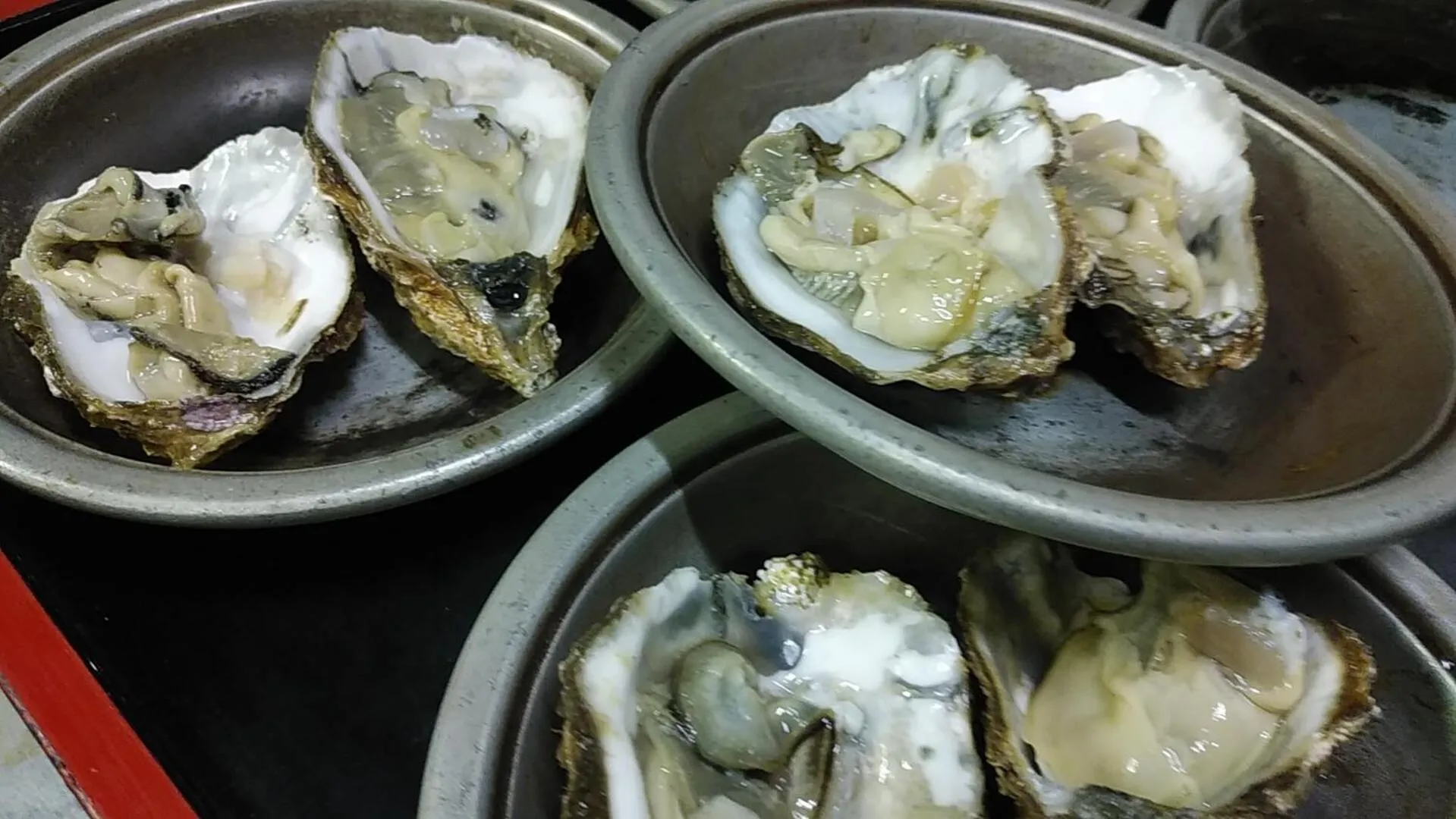 Food in Minshuku Osaki