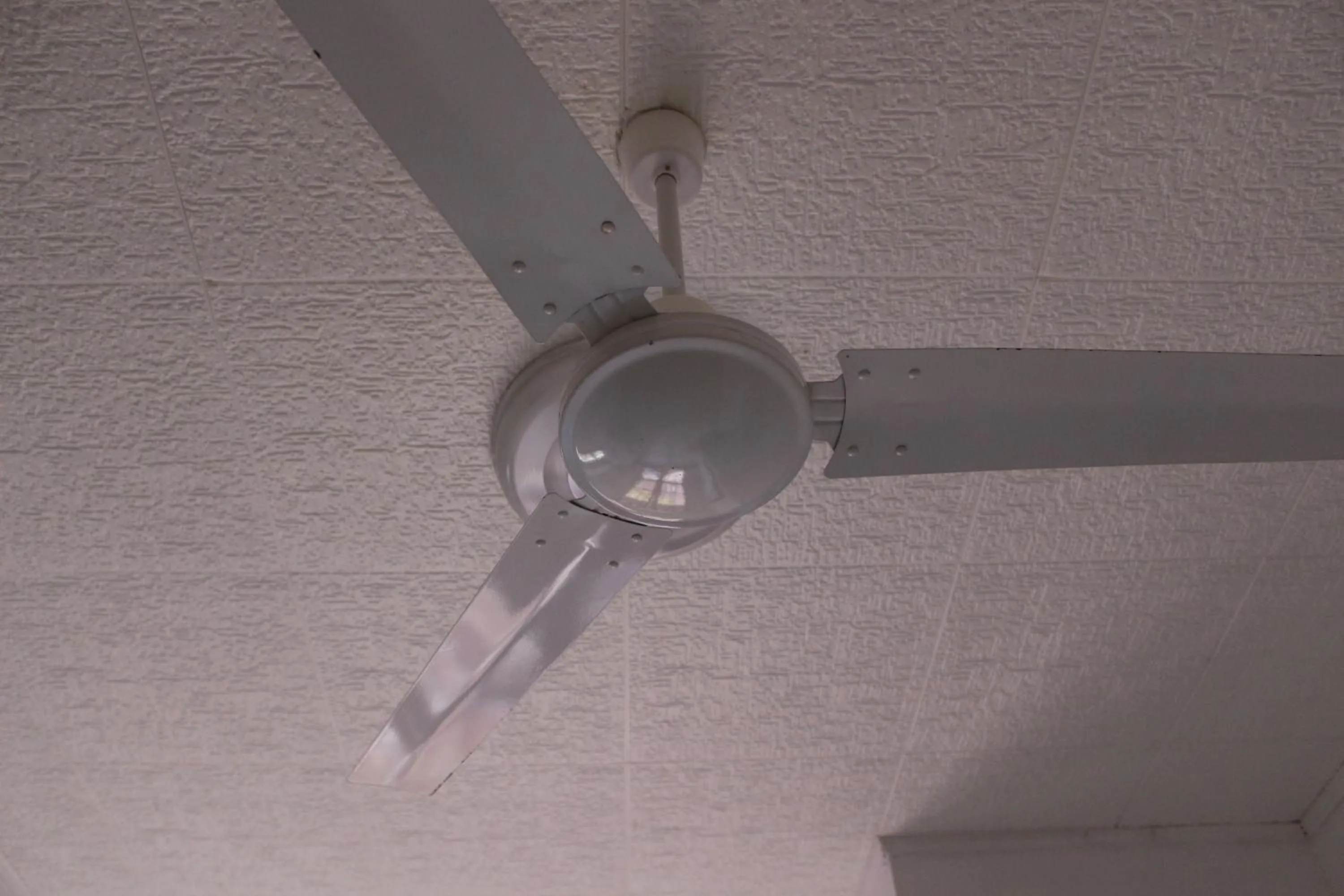 Pensione Fiorella Rimini