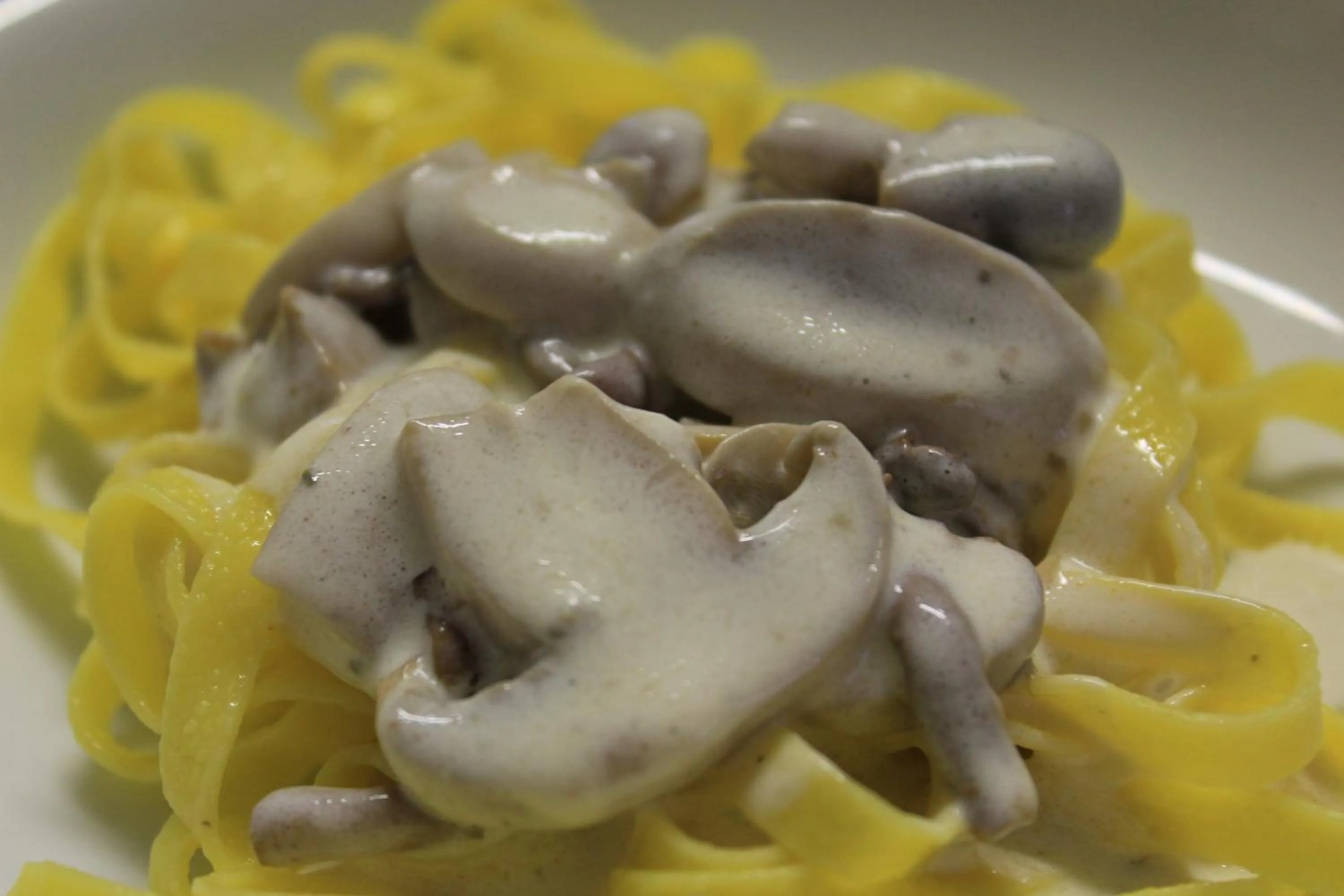 Pensione Fiorella Rimini