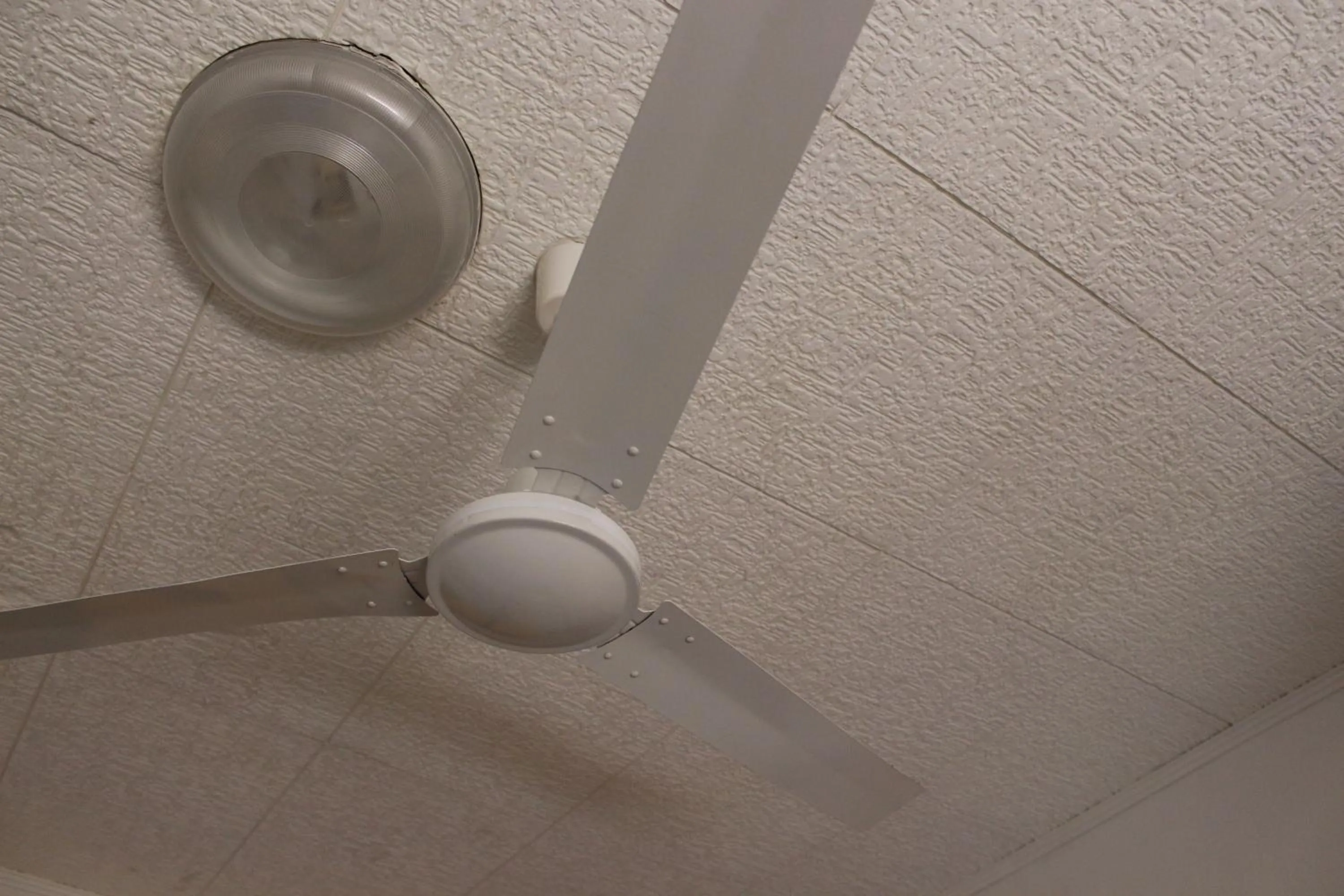 Pensione Fiorella Rimini