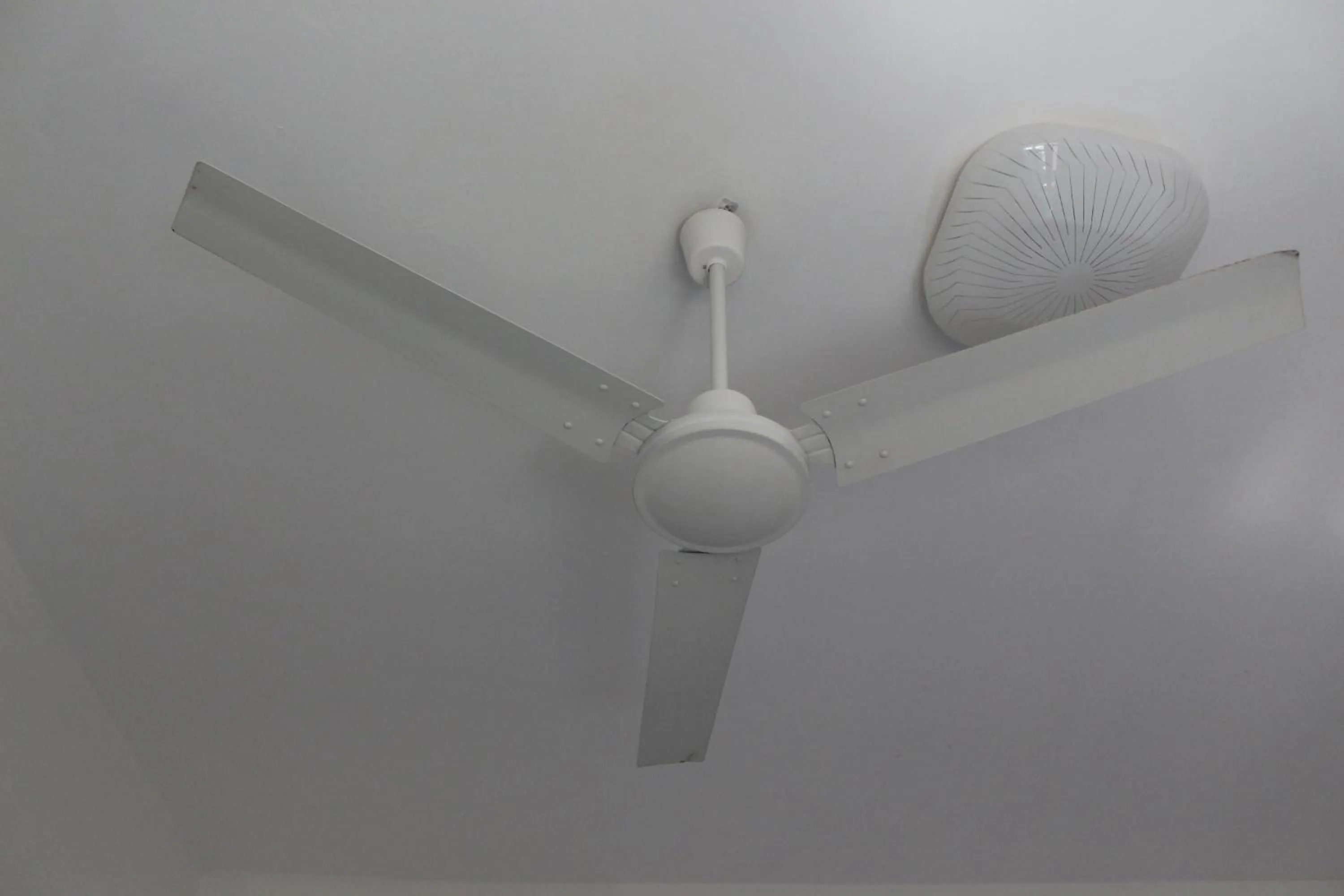 Pensione Fiorella Rimini