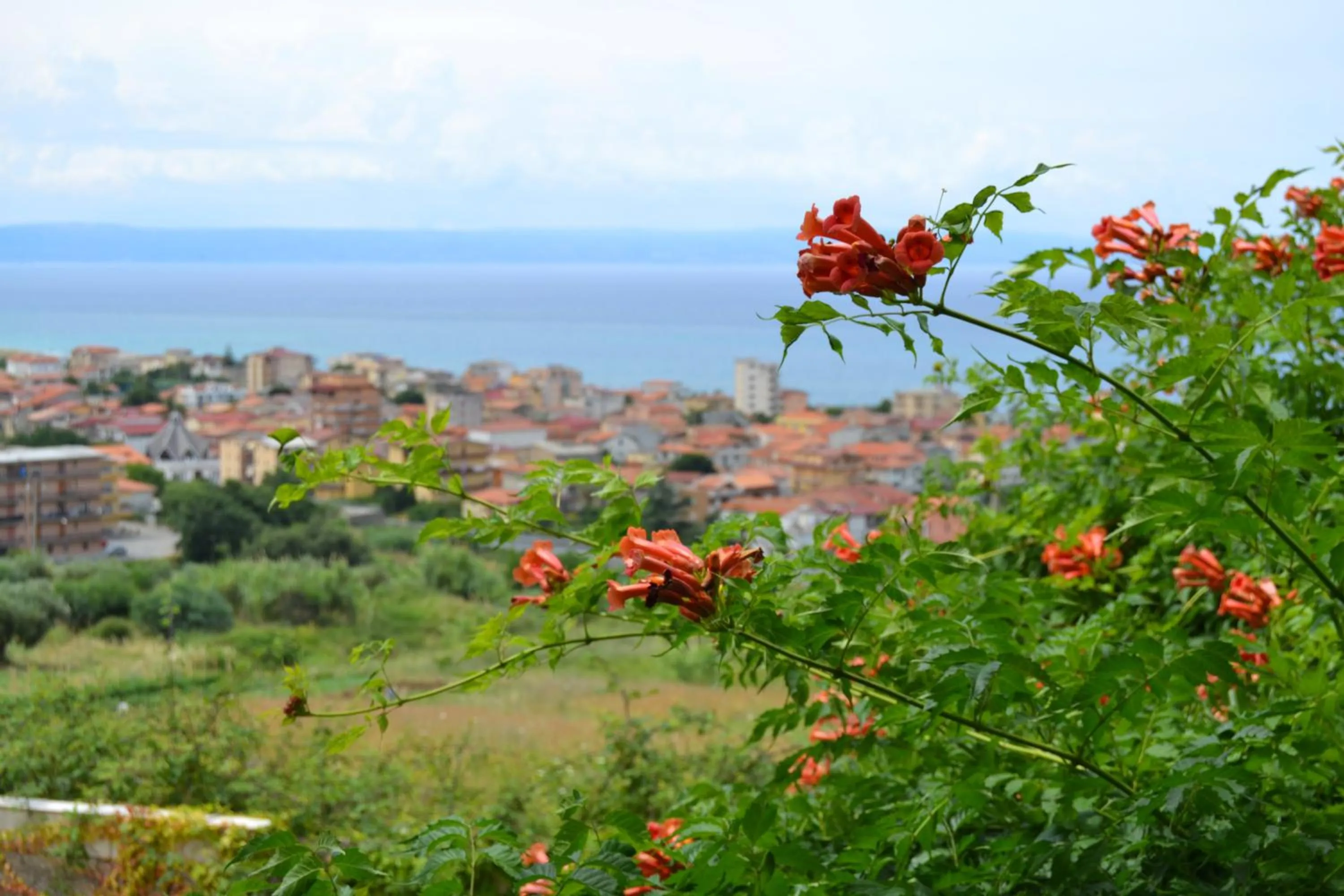 Sea view in Residence La Giungla