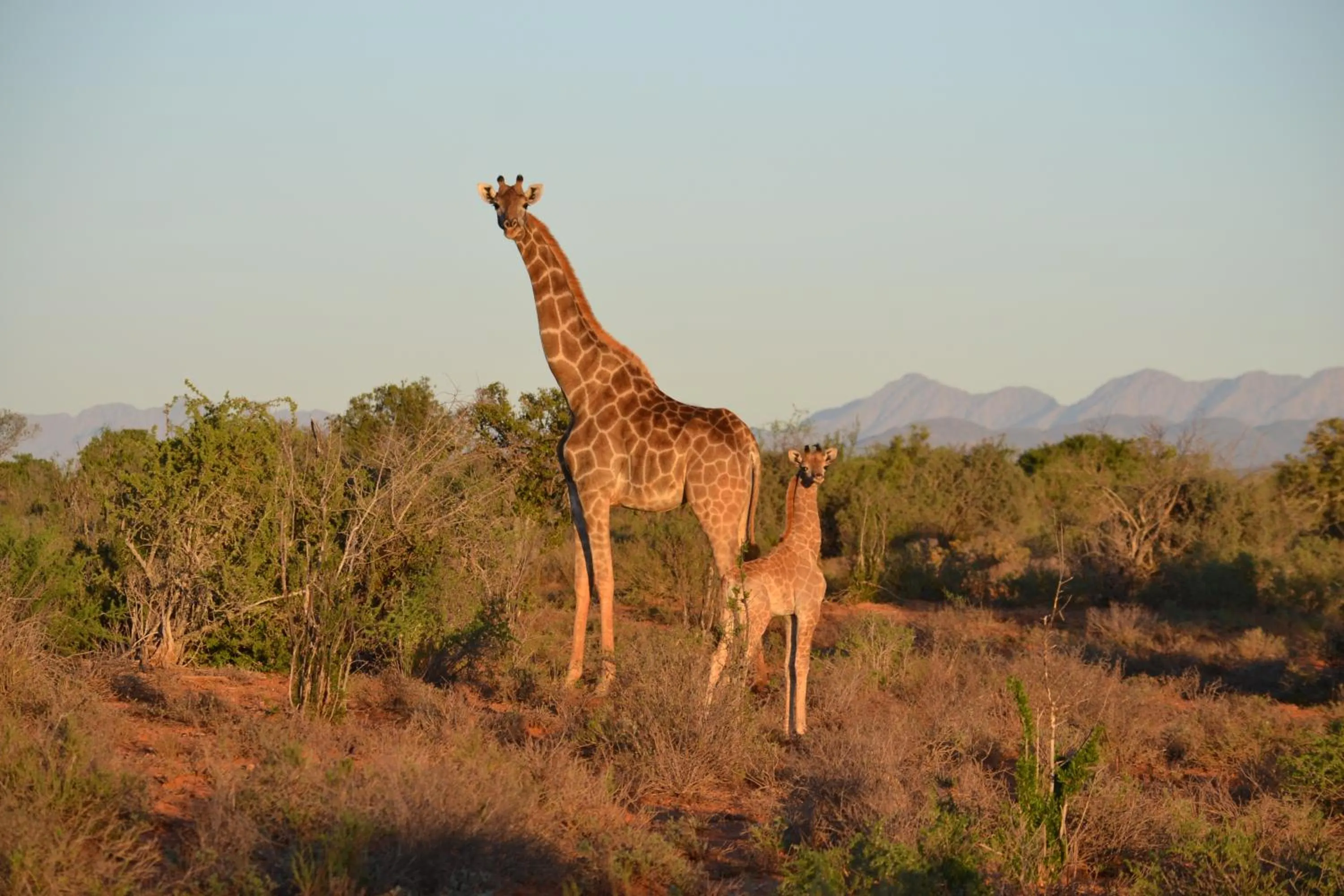 Natural landscape in Berluda Farmhouse and Cottages